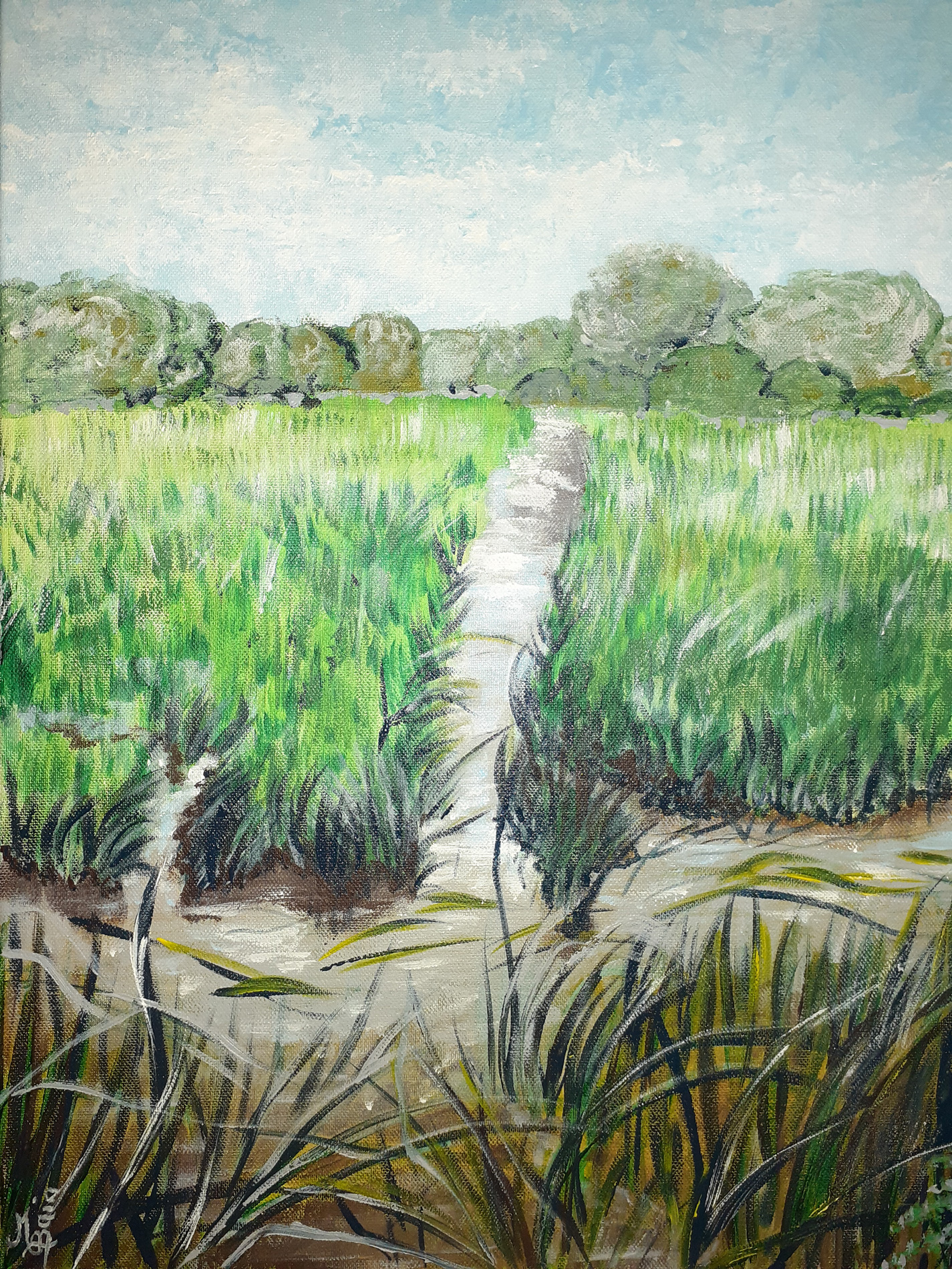 Marécages (étang de la Brenne)