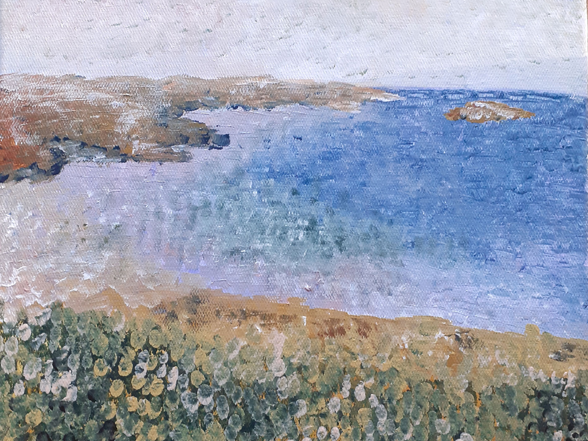 Côte bretonne en été 1