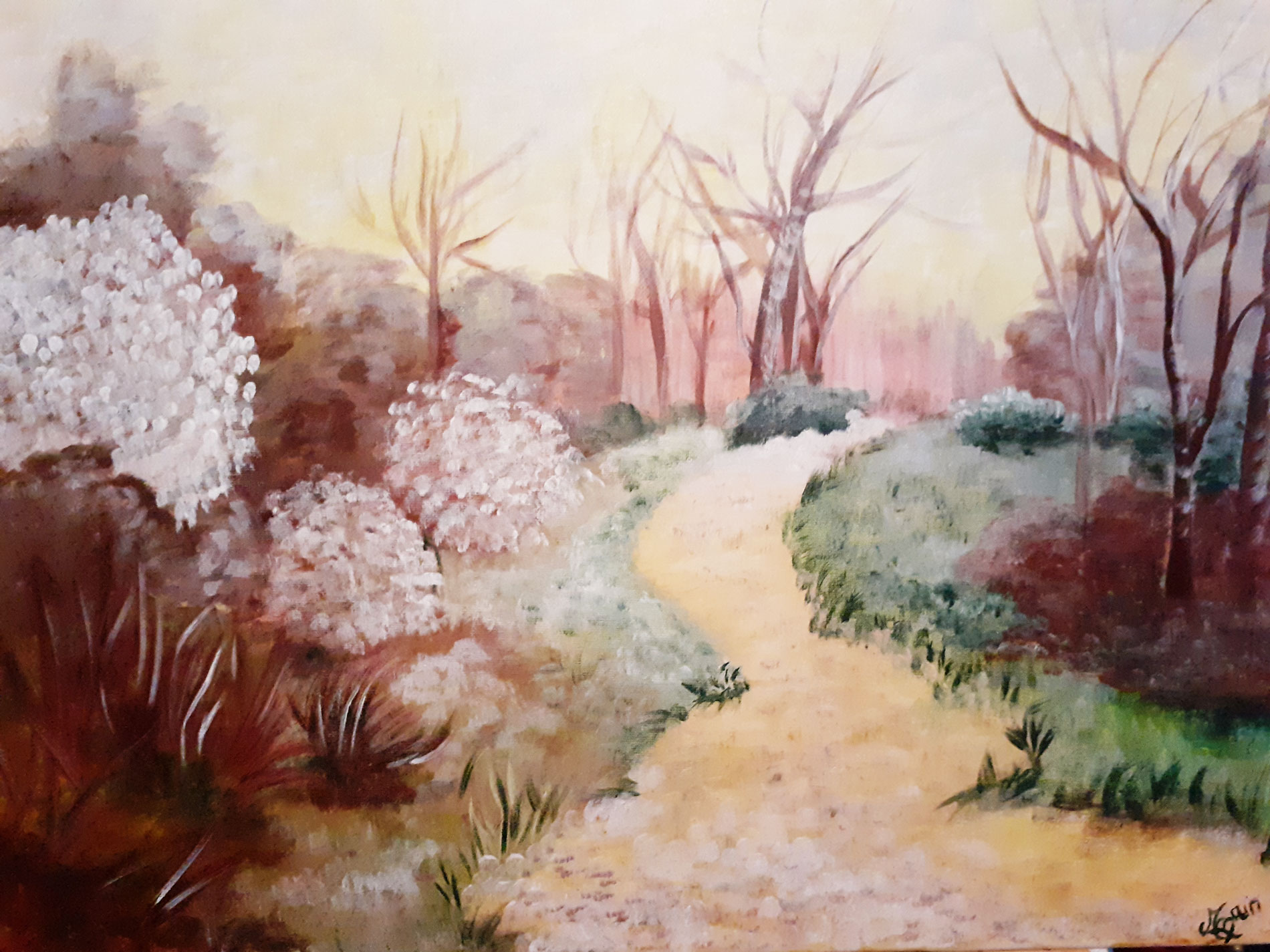 Arbustes en fleurs arrivée du printemps