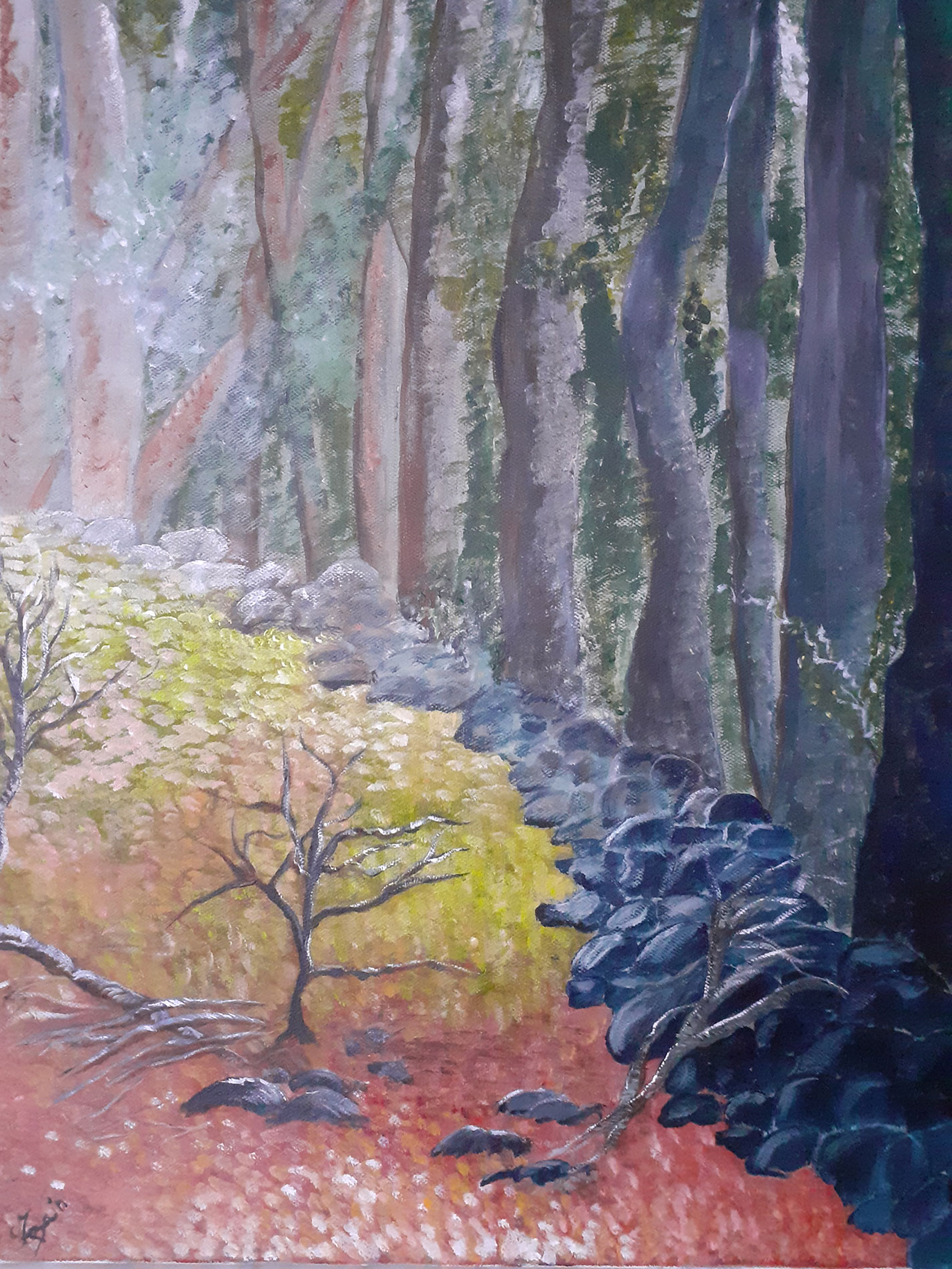 Plateau des millevaches Gentioux