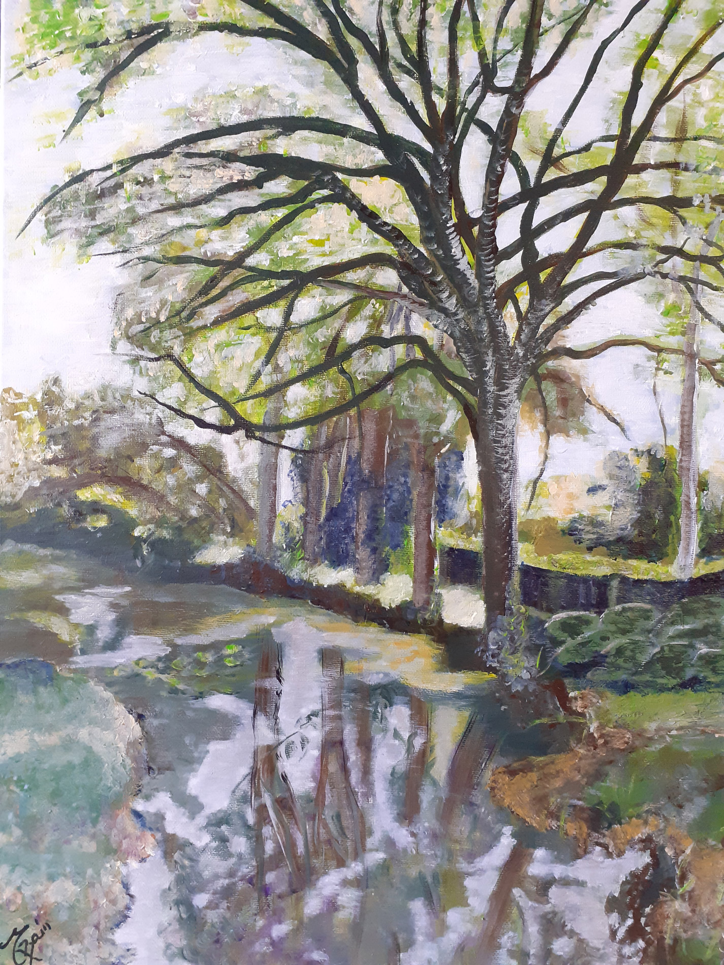 Rive de la Théols - issoudun