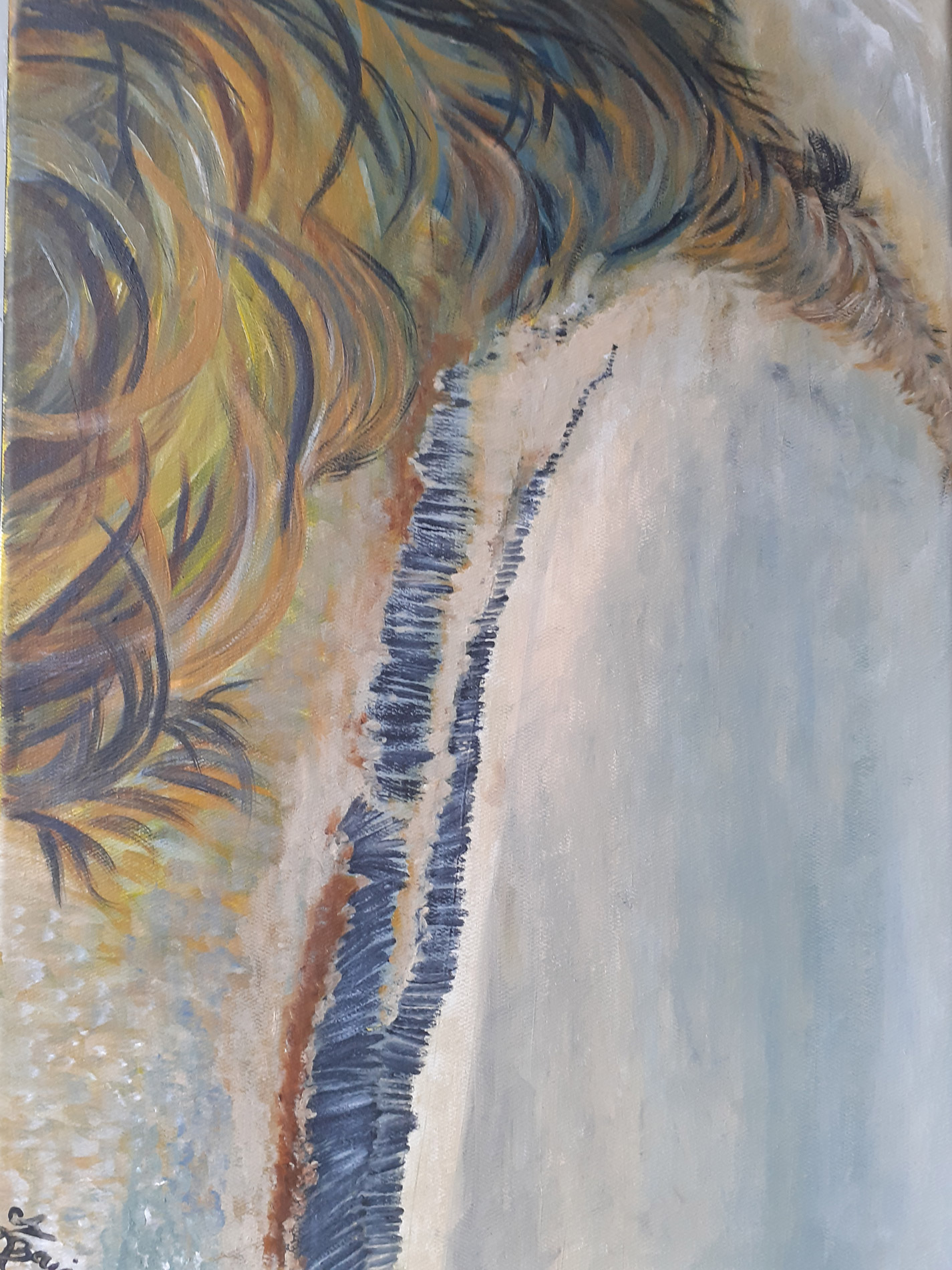 Les dunes - Côtes Atlantique