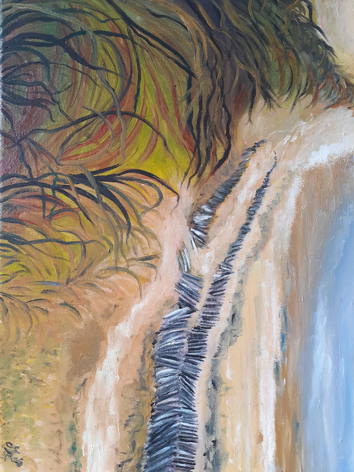 Les dunes 2 - Côtes Atlantique