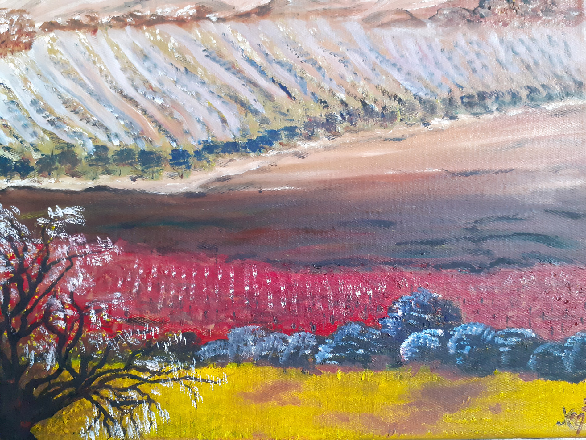 La Provence - Vignes, vergers