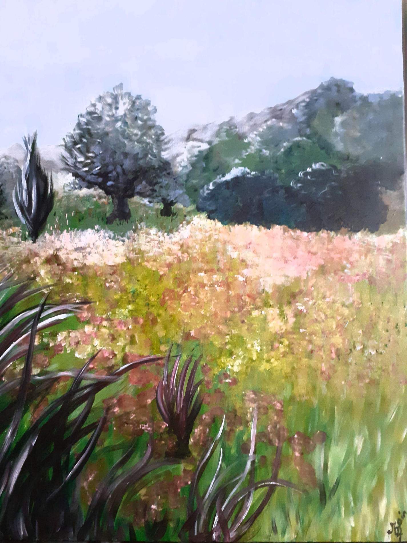 Prairie parée de fleurs rose