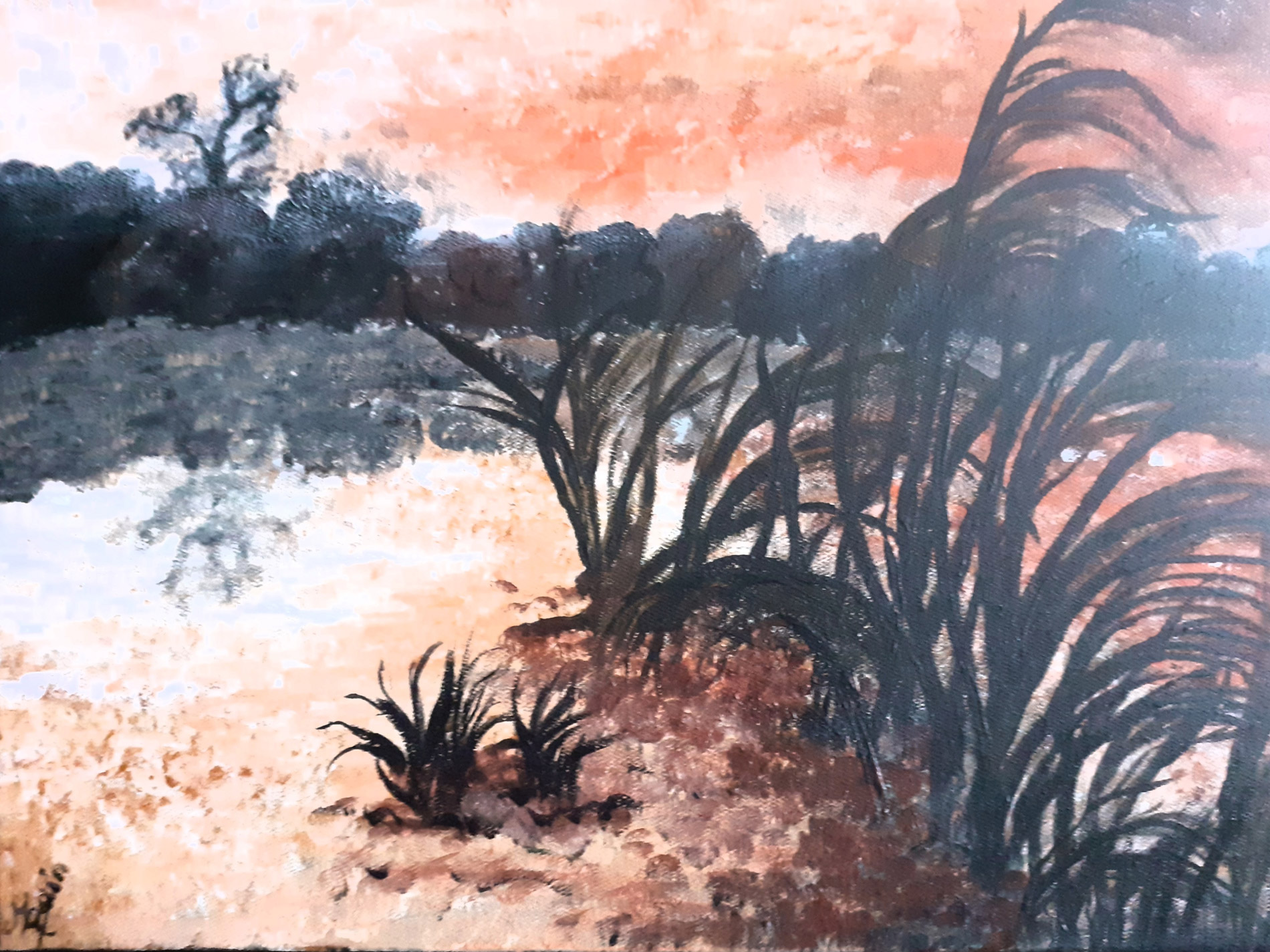 Marécages au petit matin