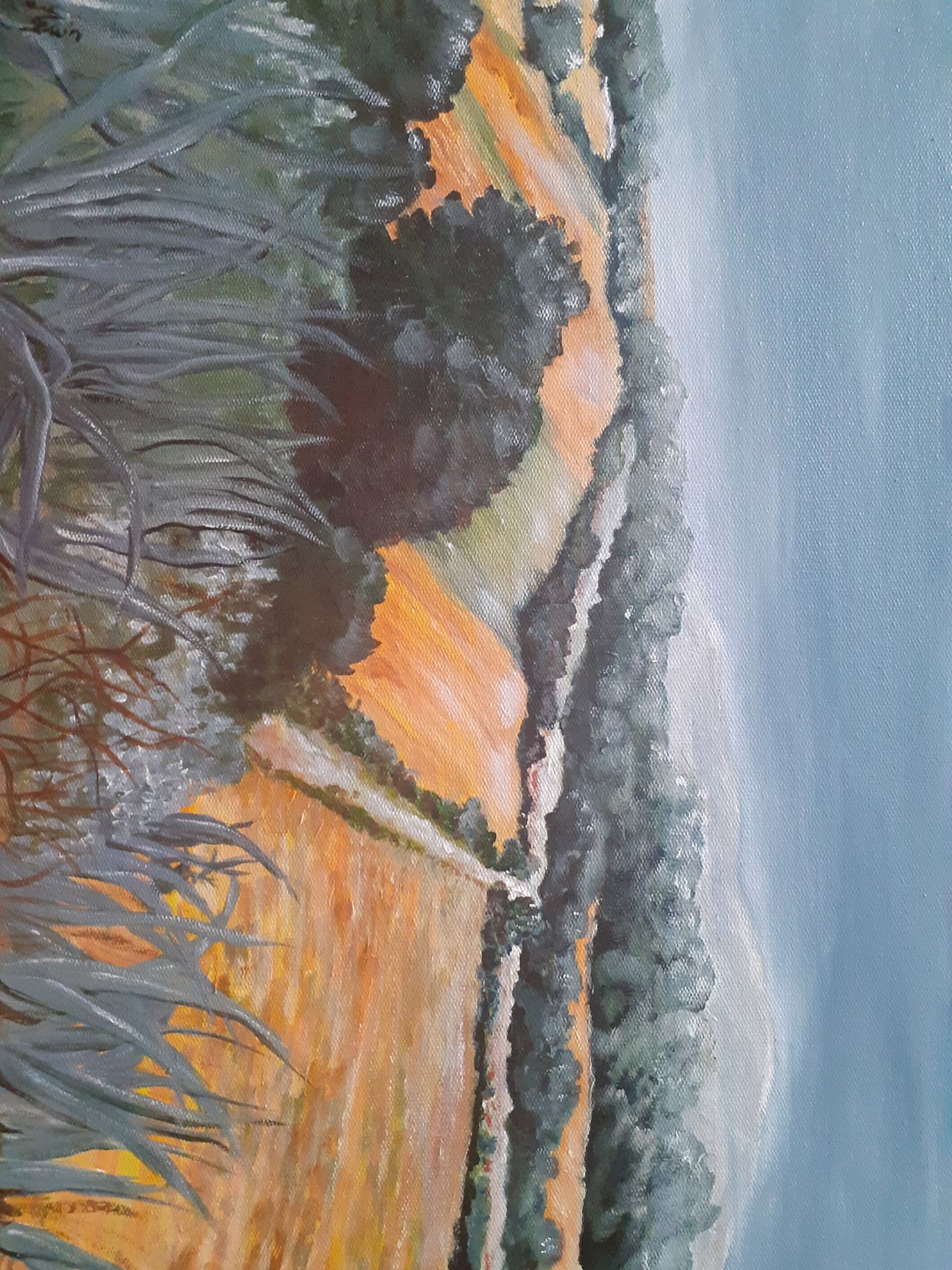 Au pied du massif des Albères - Pyrénées