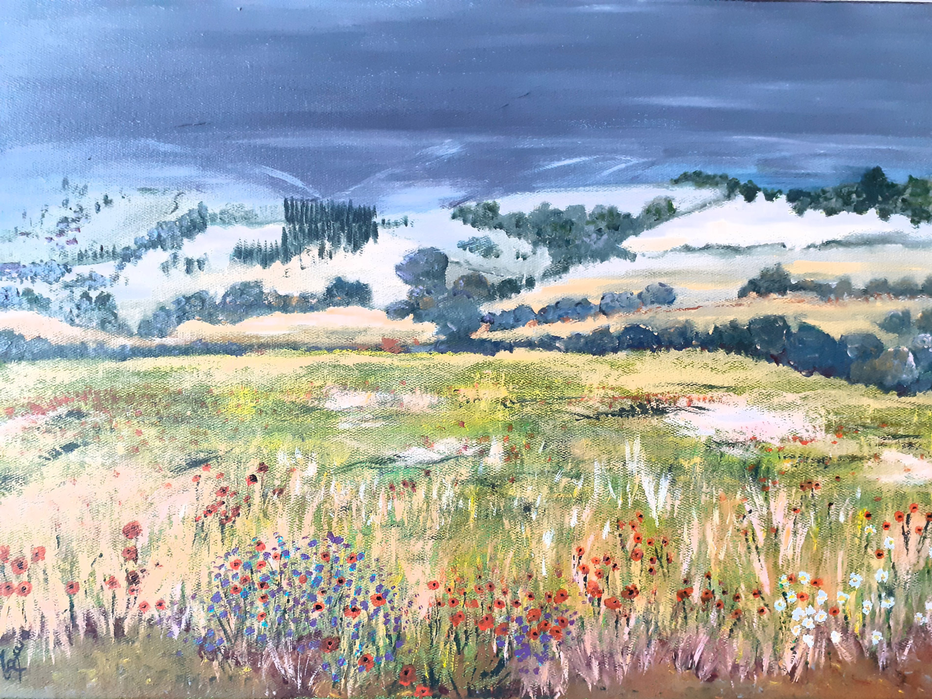 Fin de journée sur la Cerdagne - Pyrénées