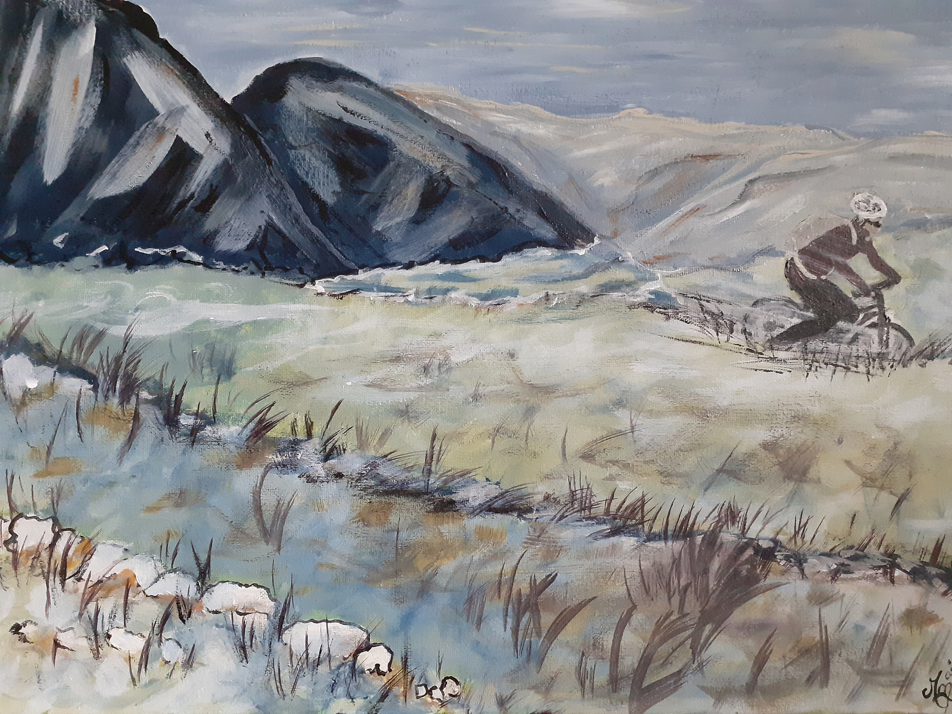 Passion de la montagne et du vélo 1