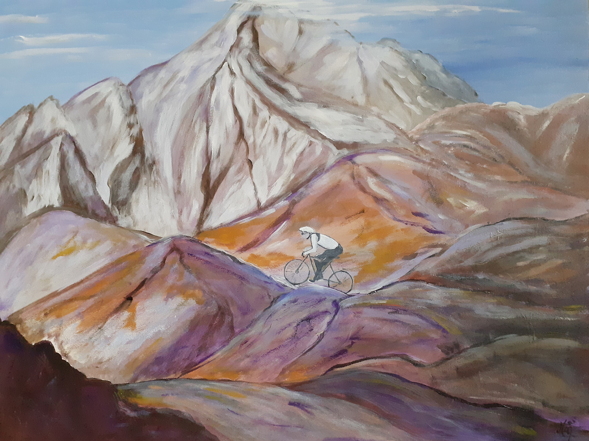 Passion de la montagne et du vélo 2