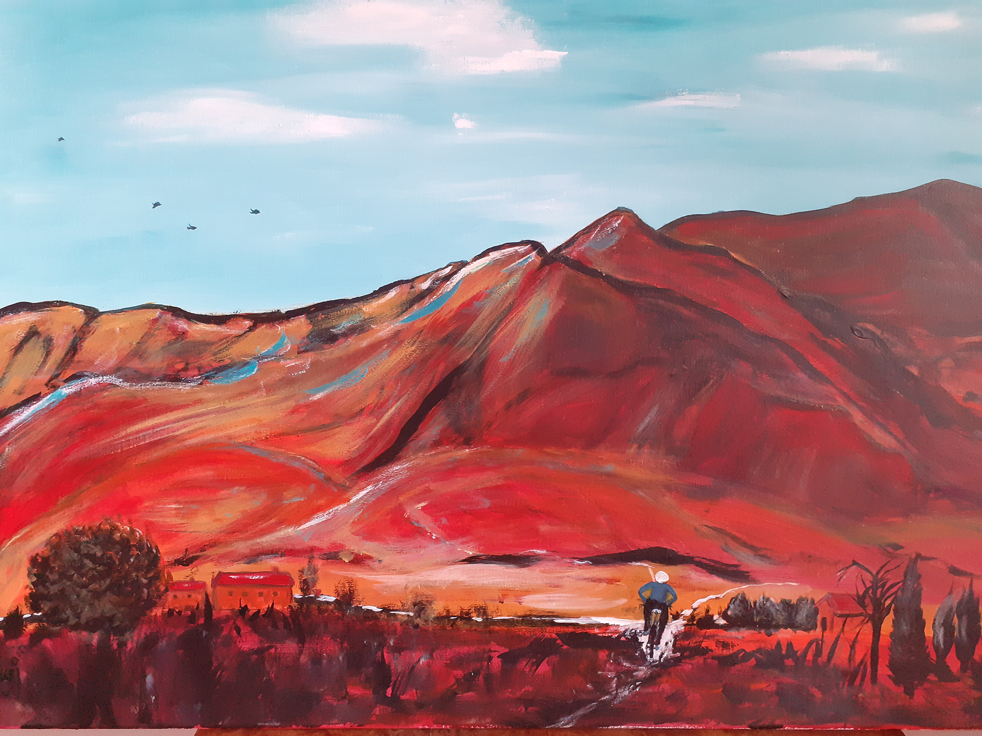 Passion de la montagne et du vélo 3