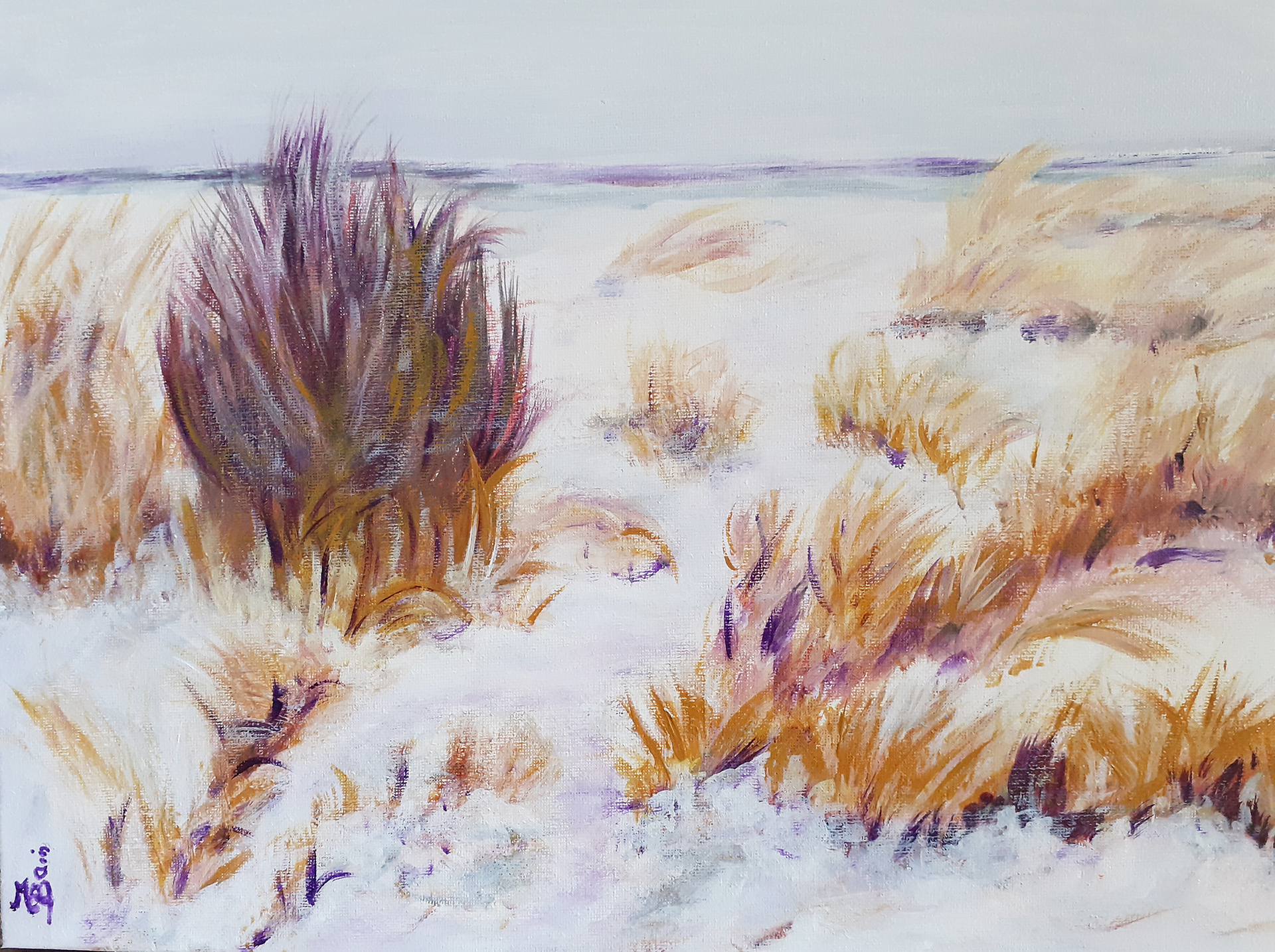 Les dunes - herbes sèches