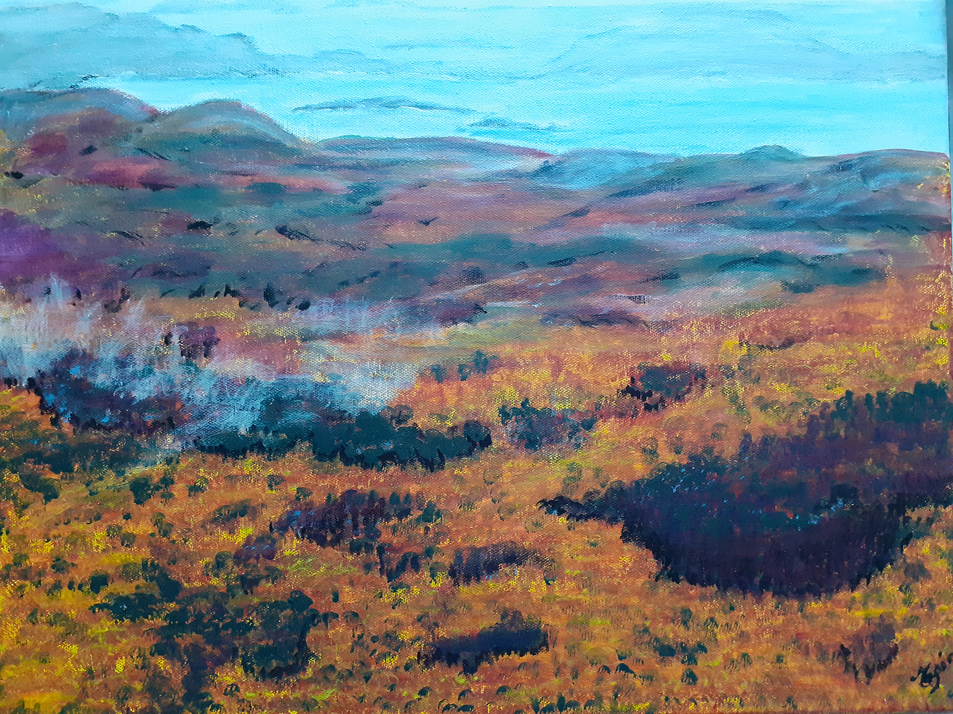 Ile d'ouessant, lande de la pointe de Pors-coret