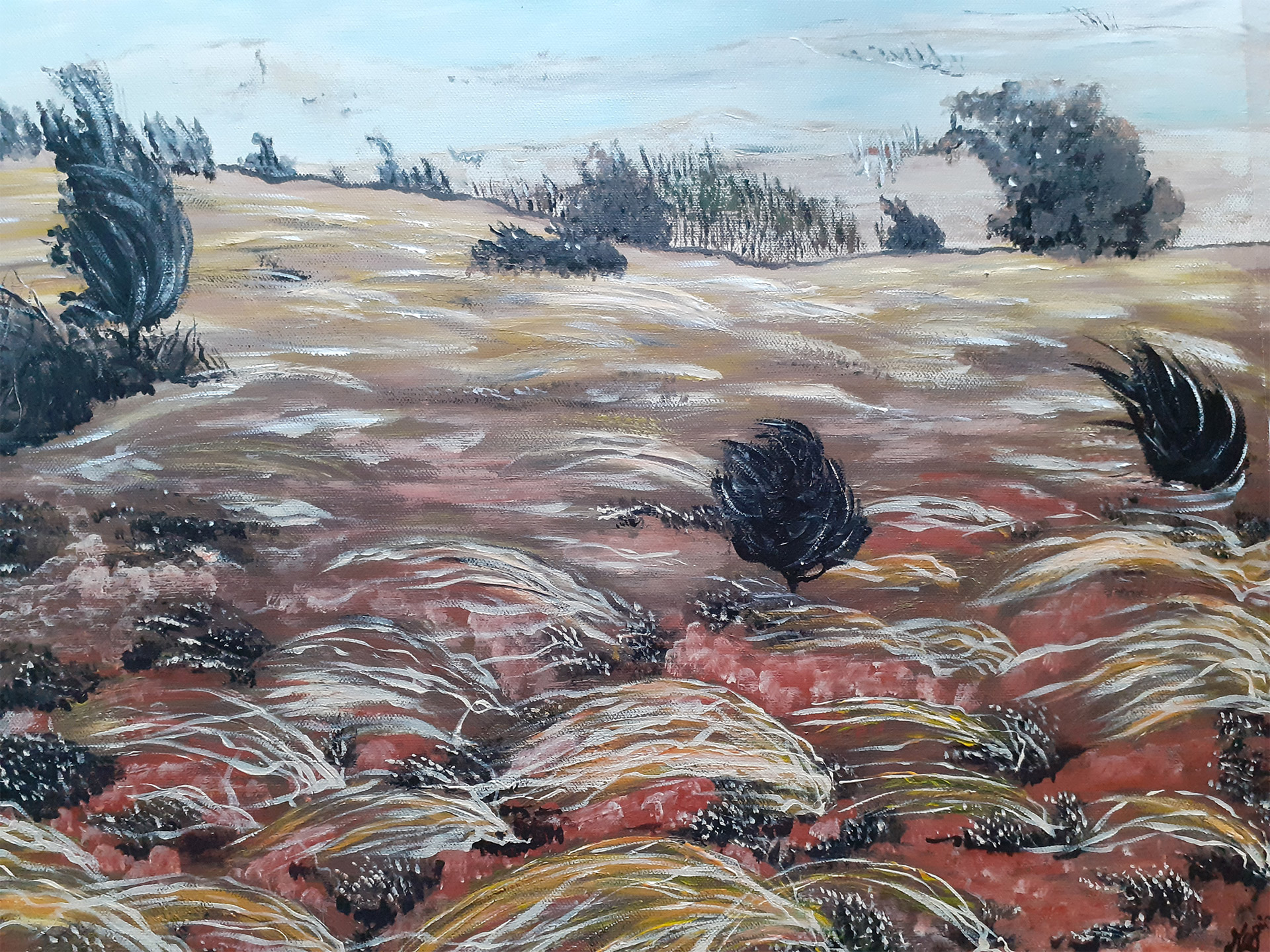 Steppe Nord-Est du Causse