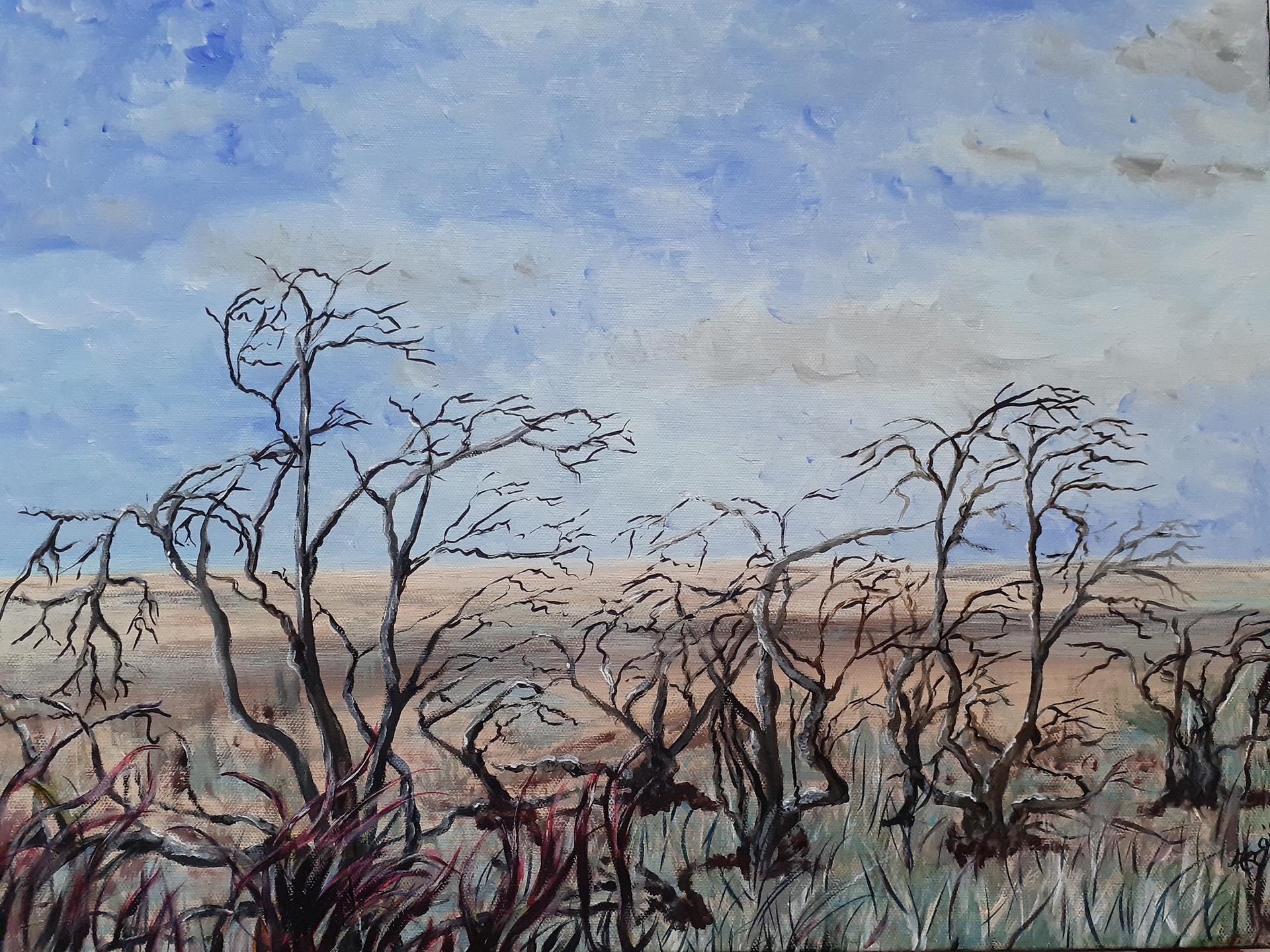 La Camargue près des cabanes de Vaccarès