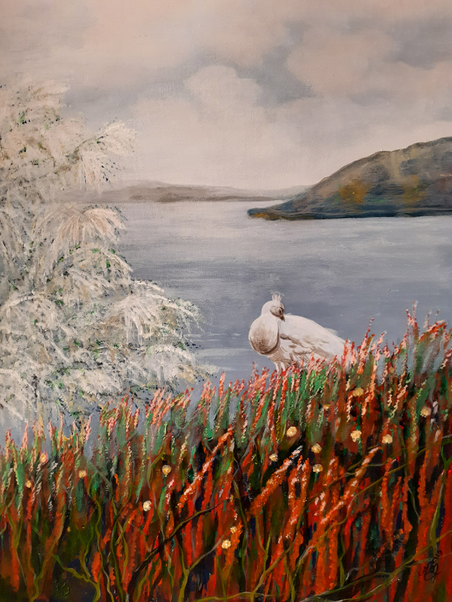 Le paon blanc - Isola Bella - Italie - Martiste - Martine Bain