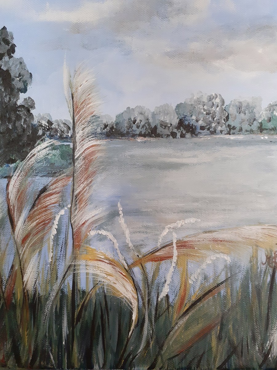 Étang de la Brenne 2