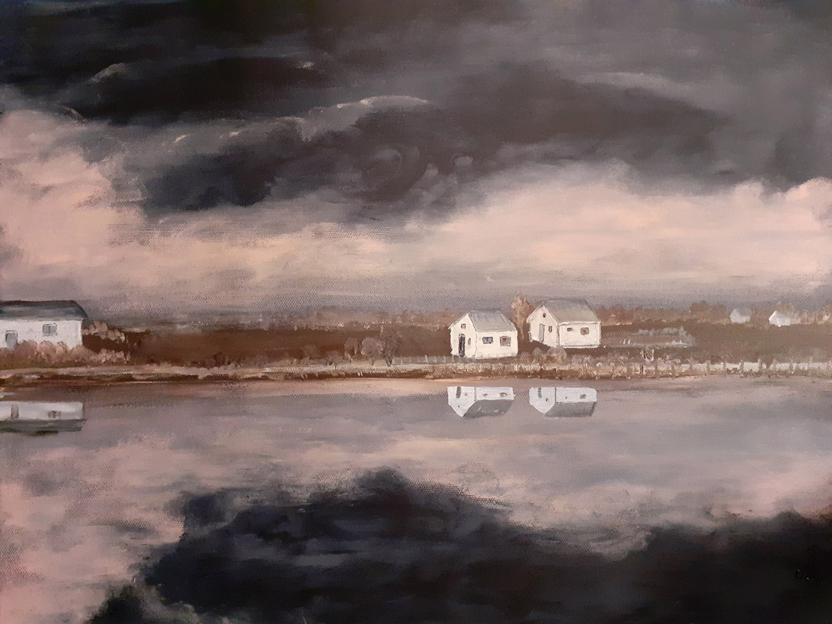 La Camargue (Étang de Laures)