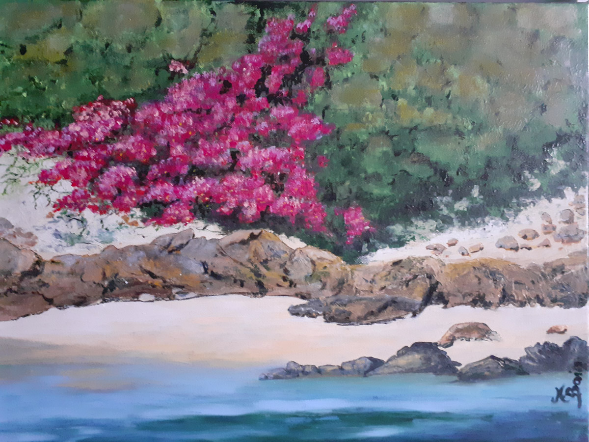 Tapis de pourpier dans les dunes