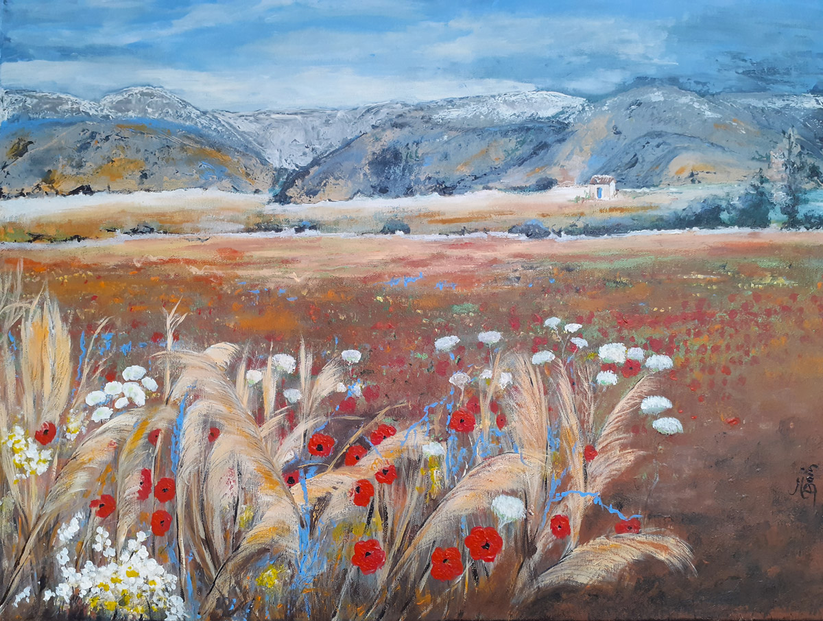 Champs de coquelicots (Massif du Puigmal - pays Catalan)