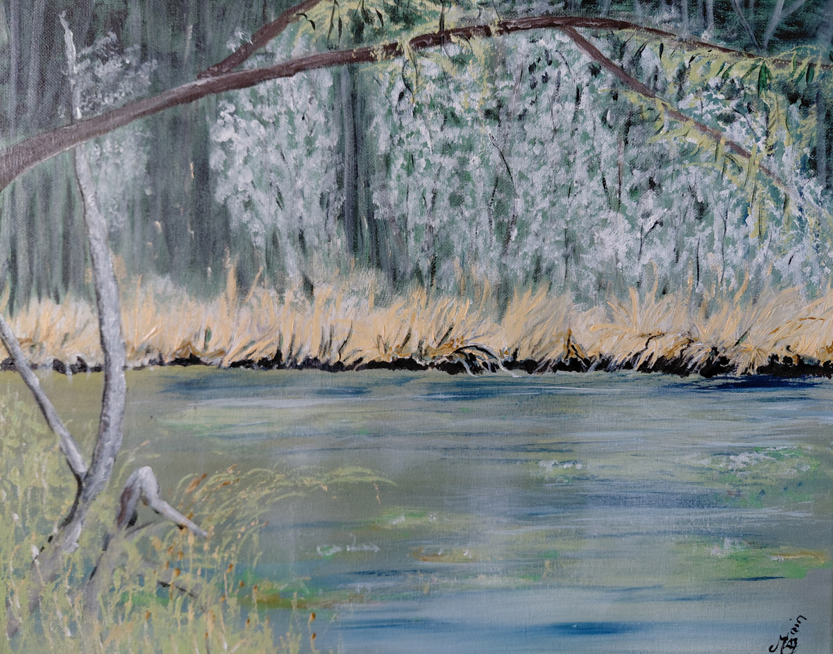 Étang du Blizon - Brenne (36)