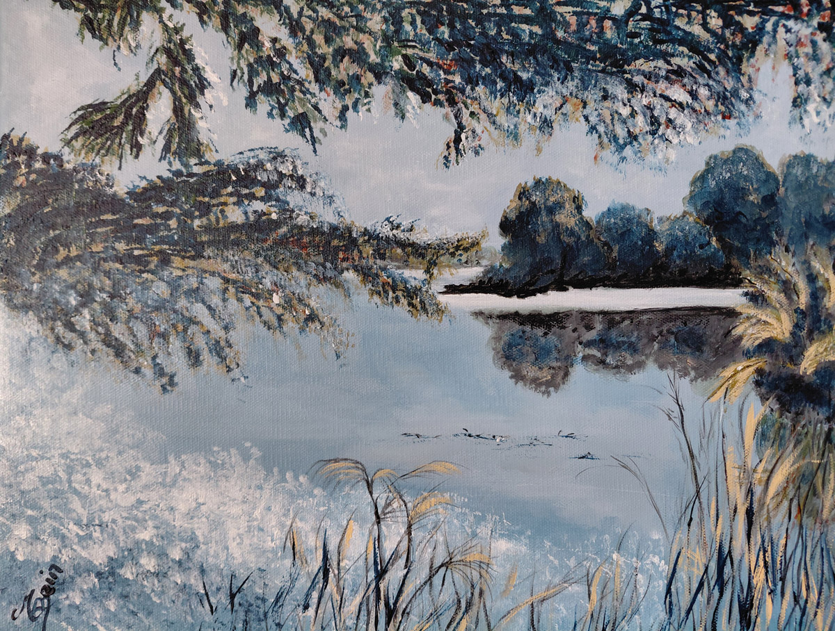 Étang Piegu - Brenne (36)