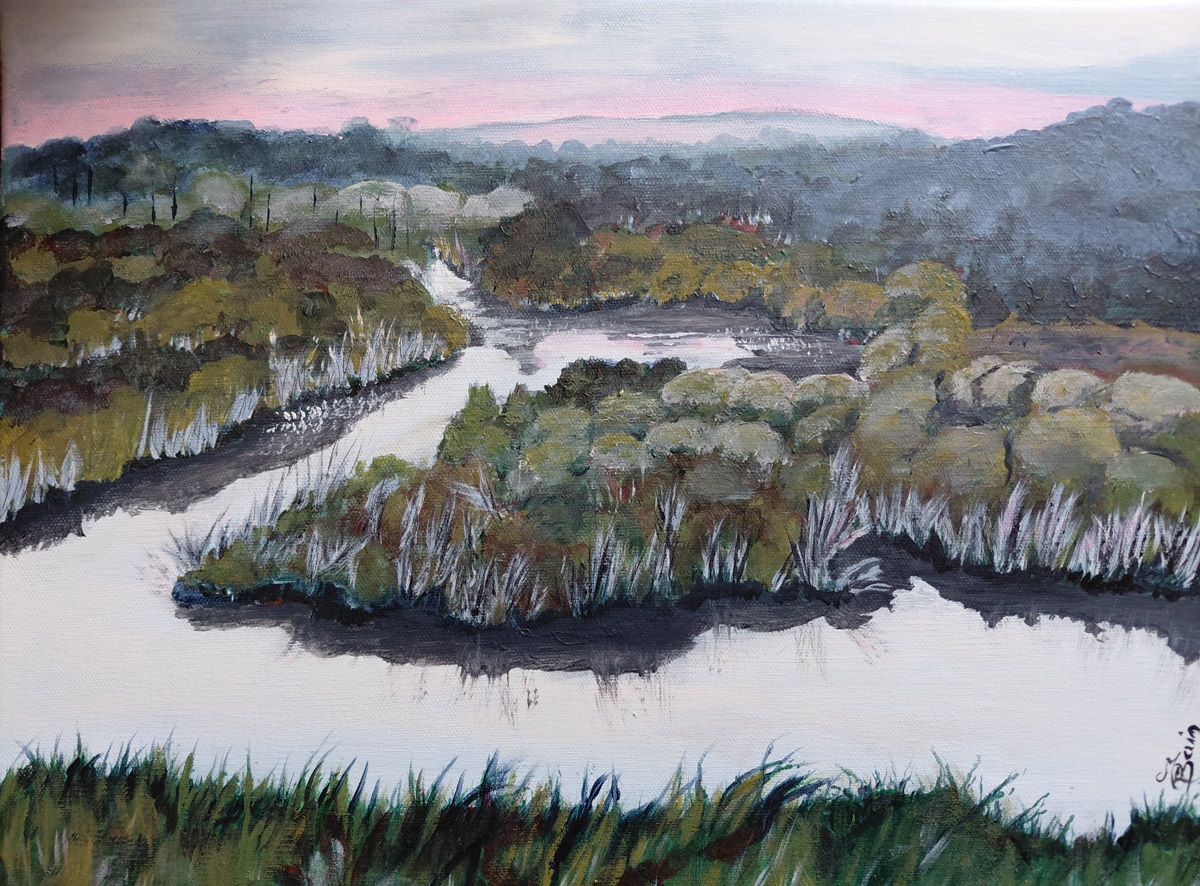 Le courant d'Huchet côté forêt - Landes