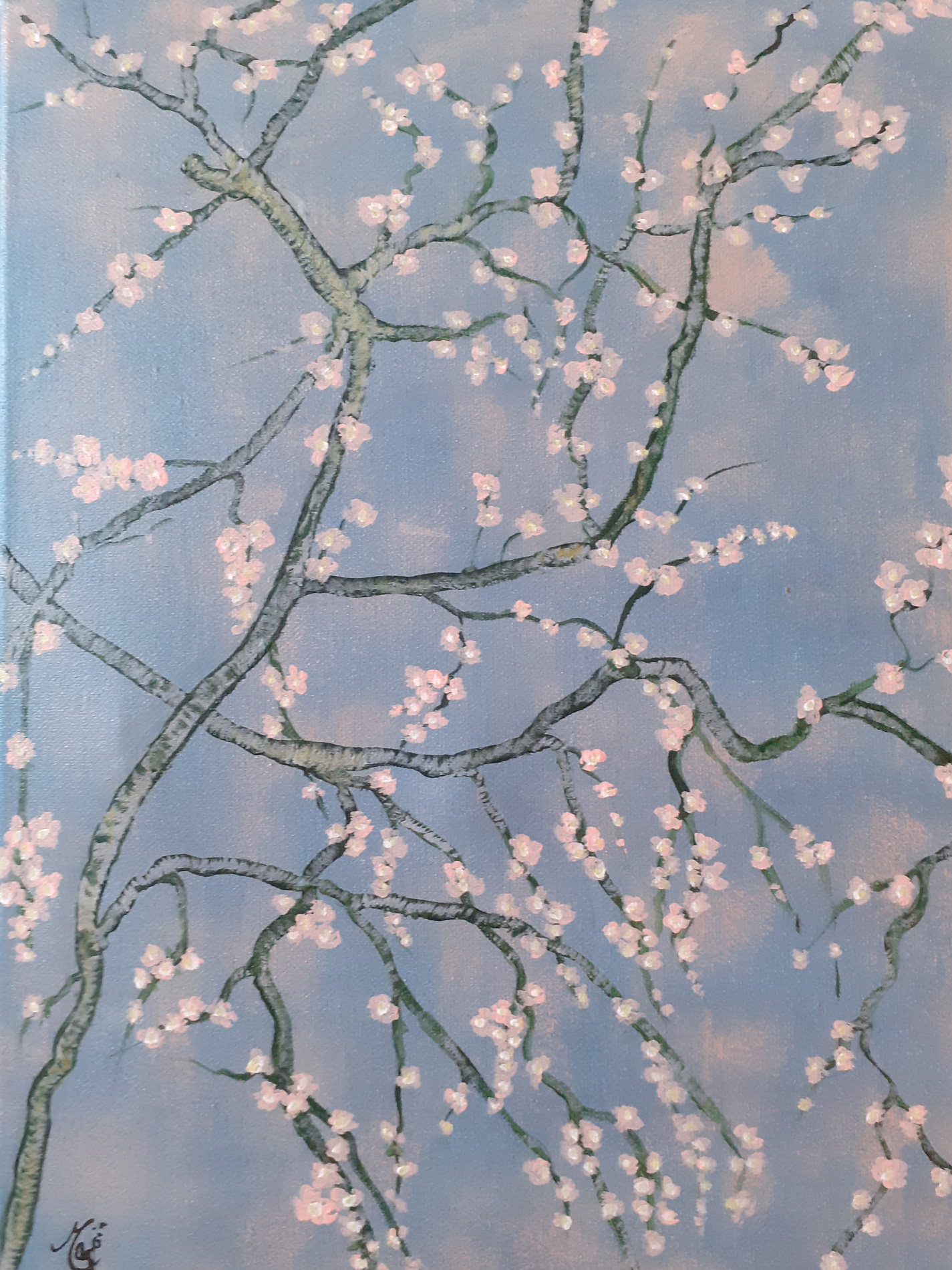 Branche de cerisier en fleur