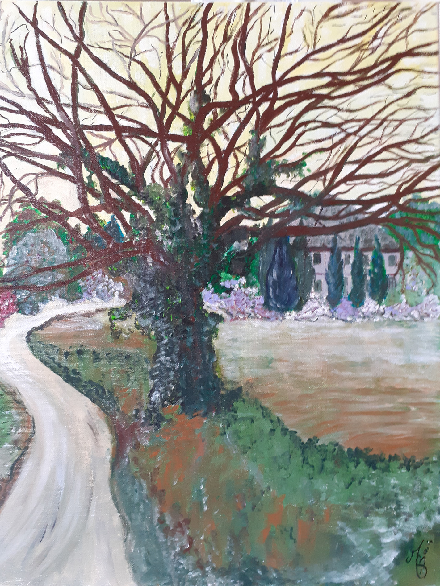 Vieux chêne envahi par le lierre