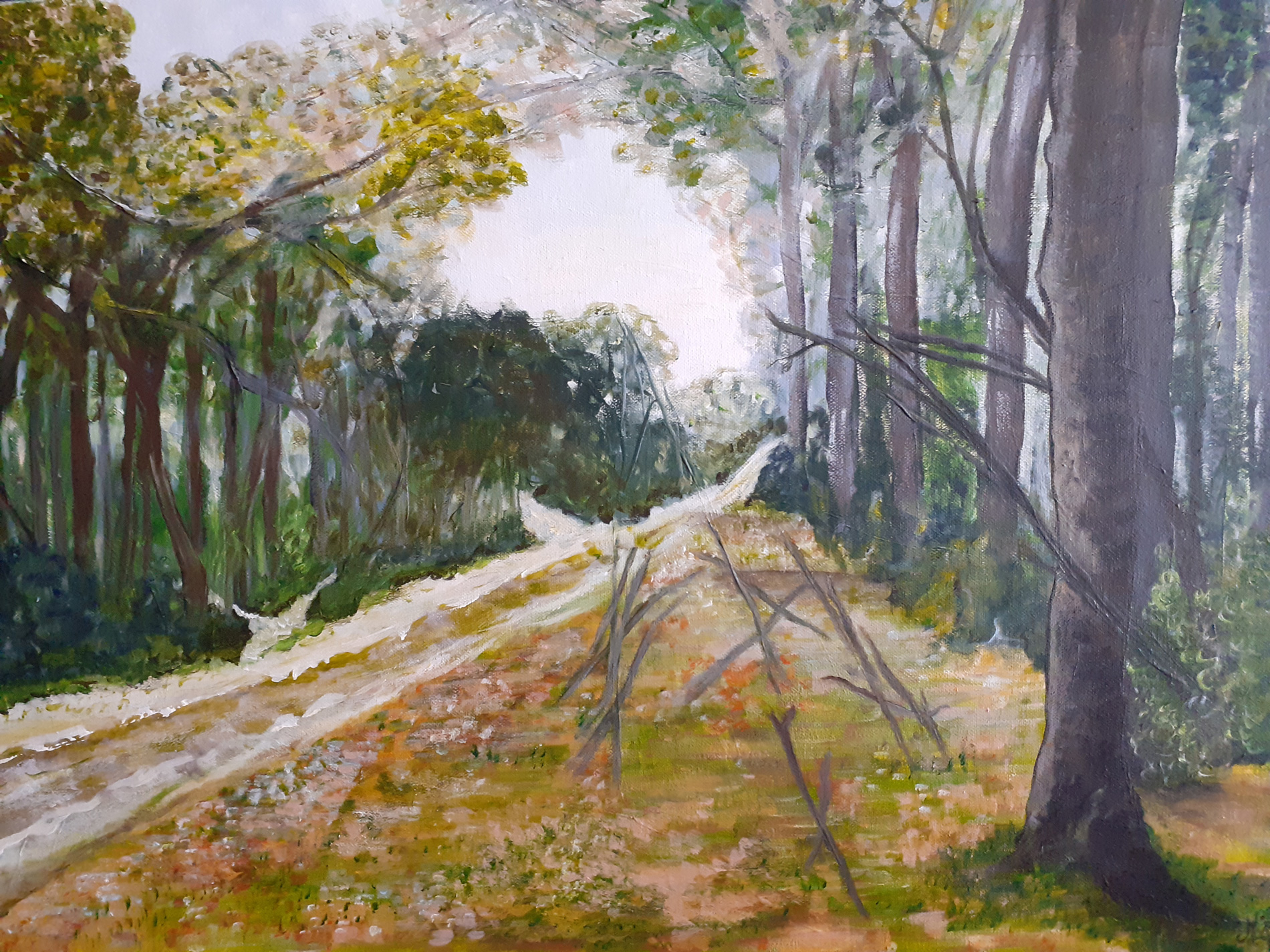 Grande allée dans la forêt