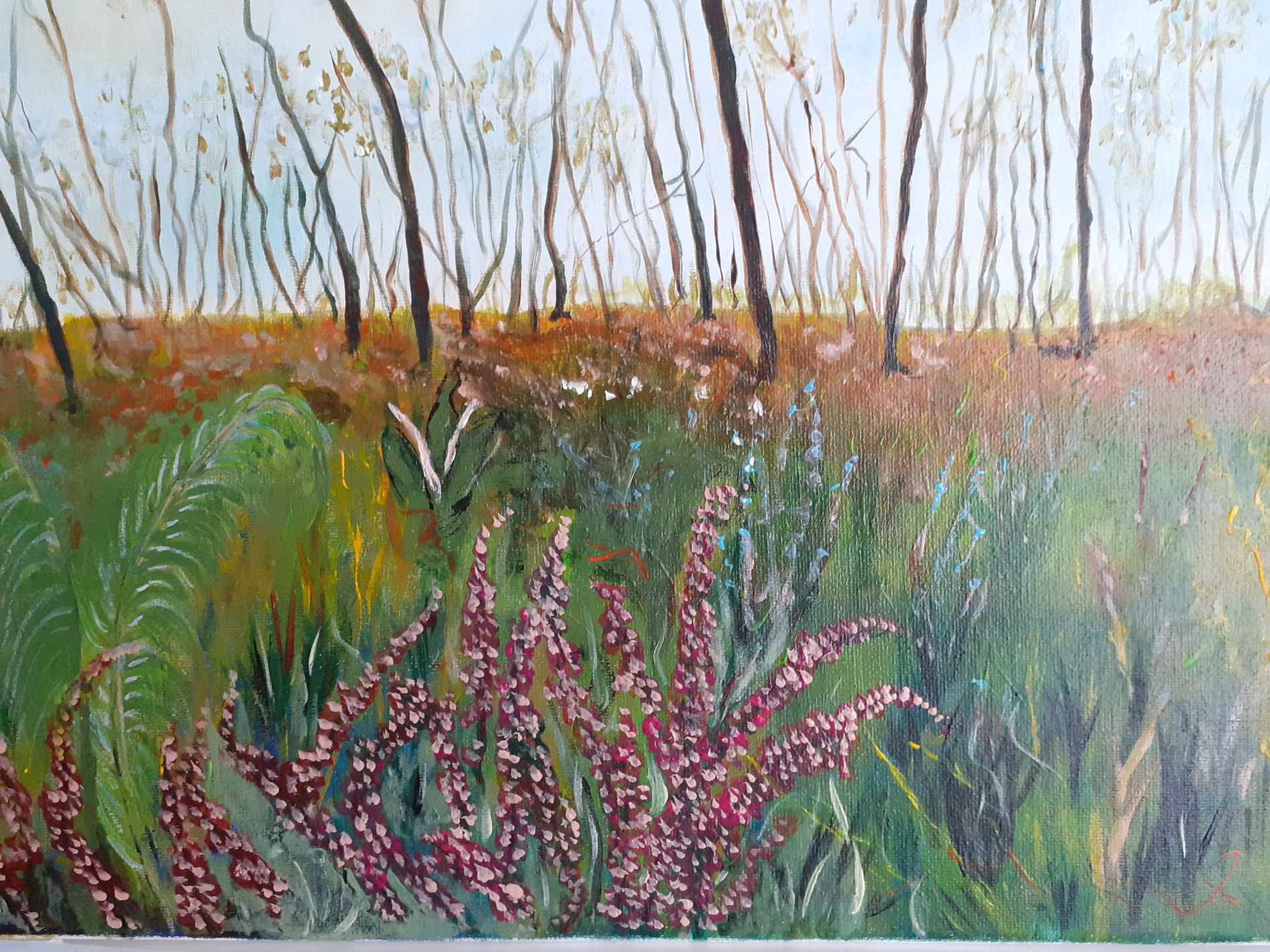 Dunes de bruyères dans les Landes