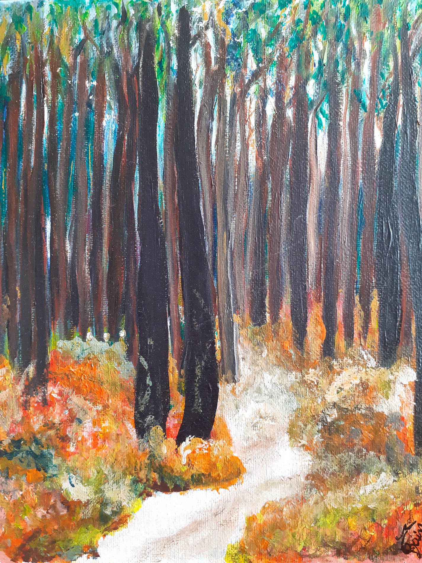 Lumières d'automne dans les Landes