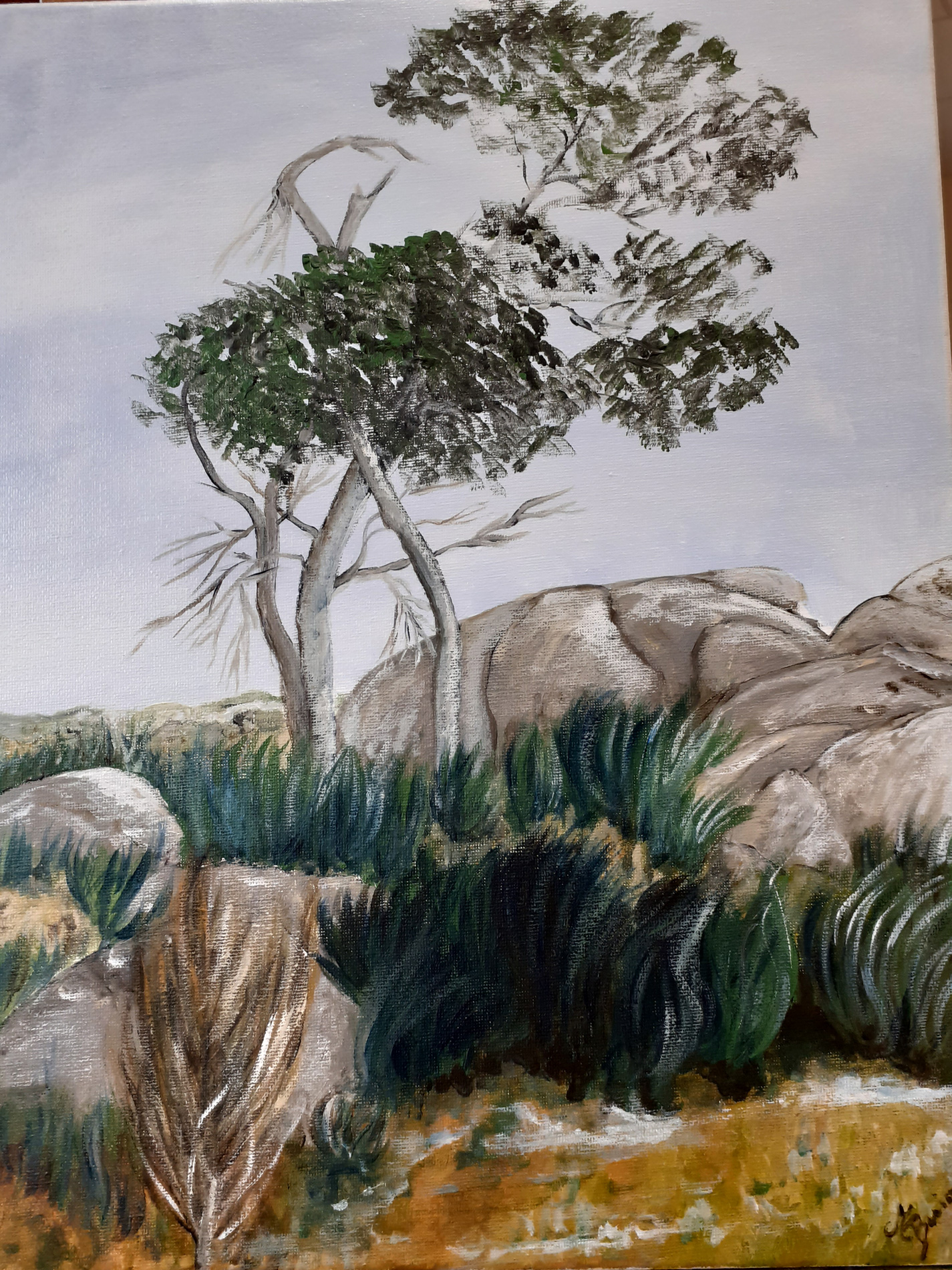 Arbres à tous les vents