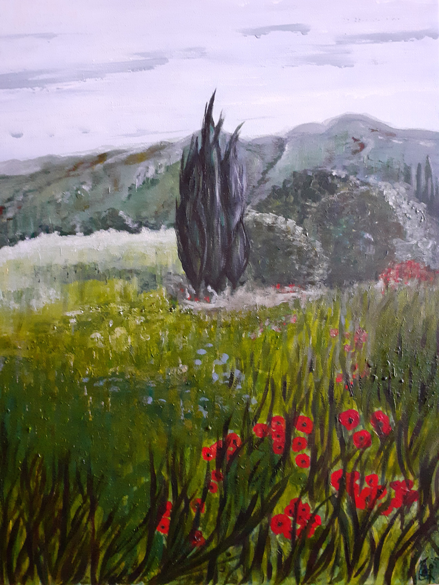 Arrivée du printemps - Les coquelicots