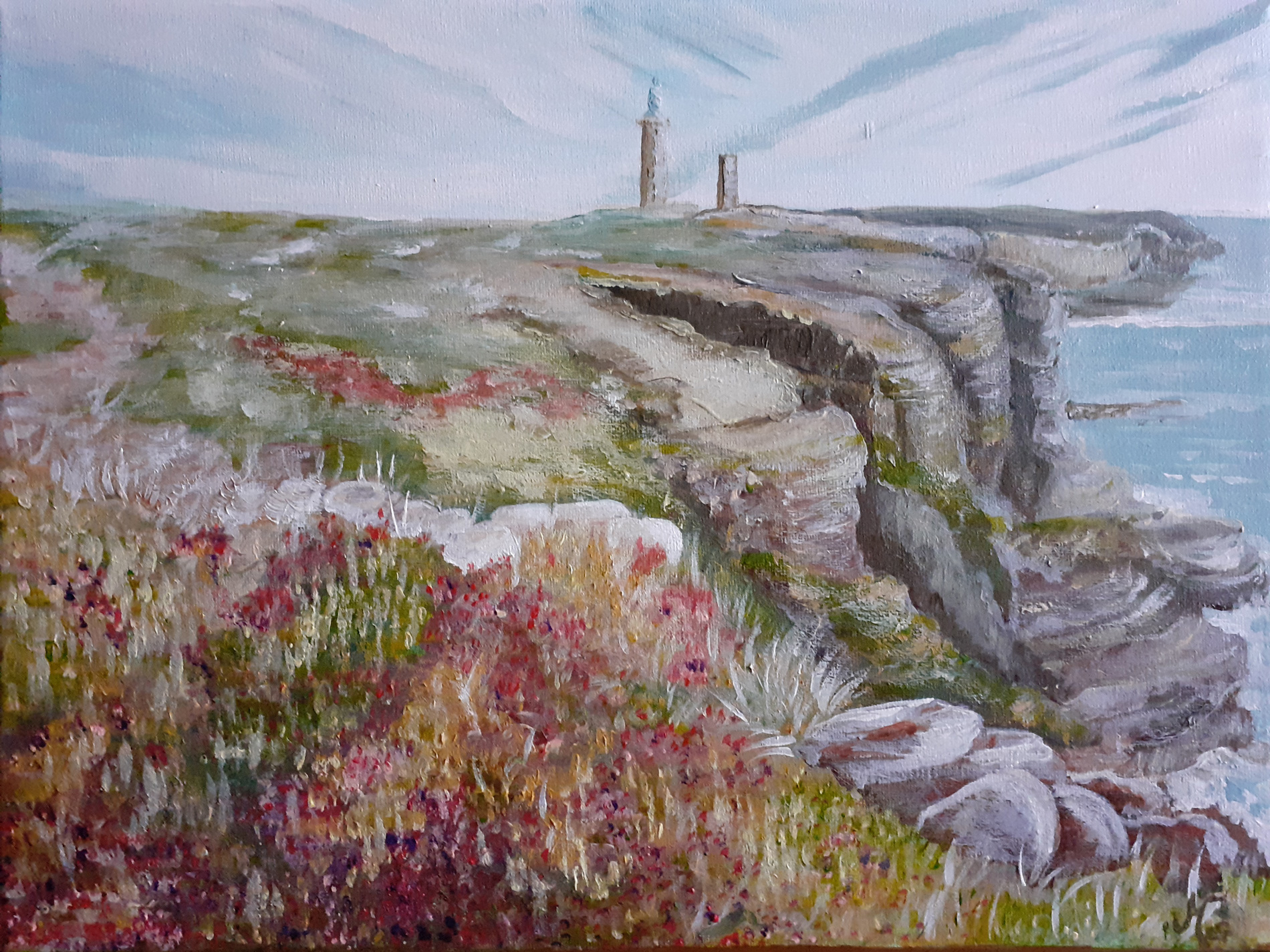 Côtes d'Armor - Le cap Frehel