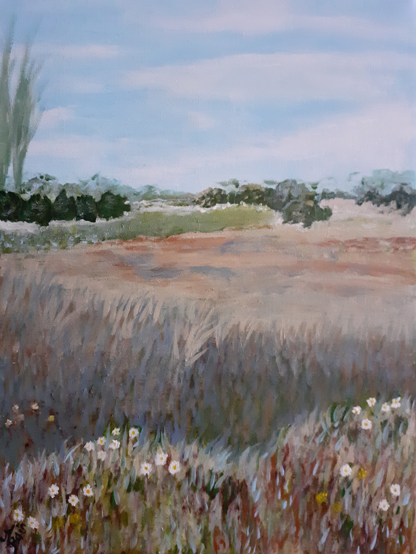 Campagne berrichonne en été