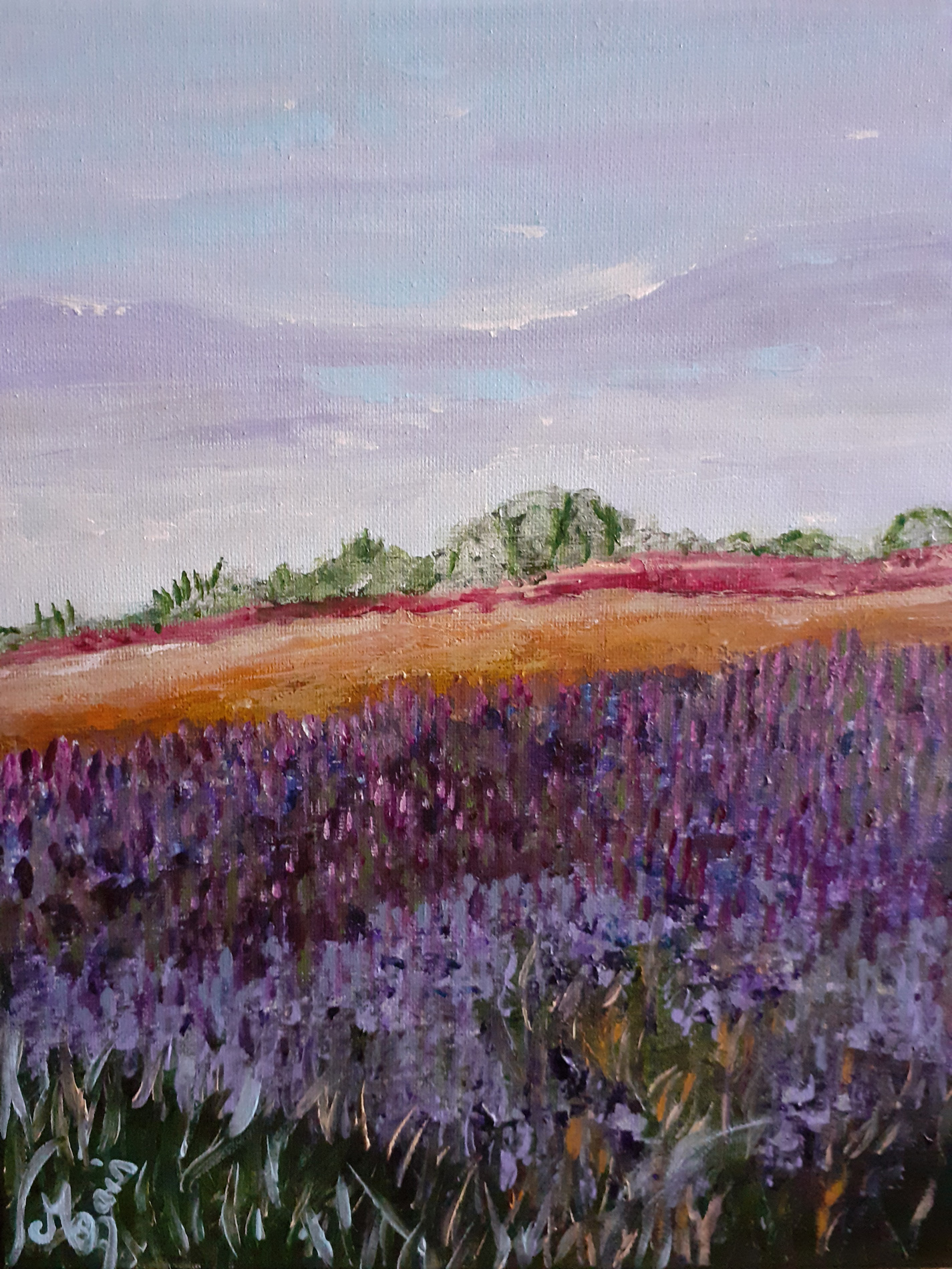 Champs de lin en Berry