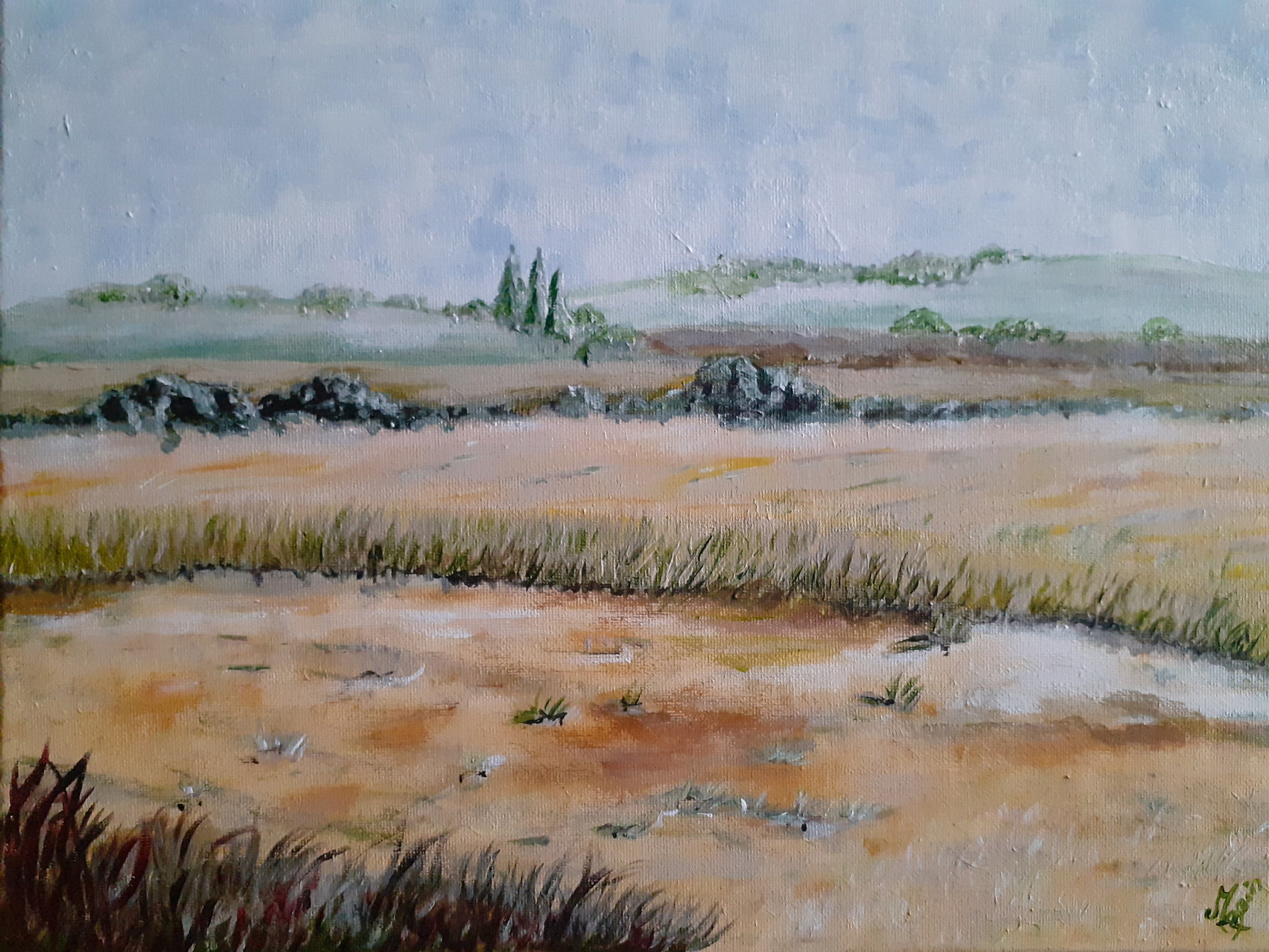 Champs de blé en Berry