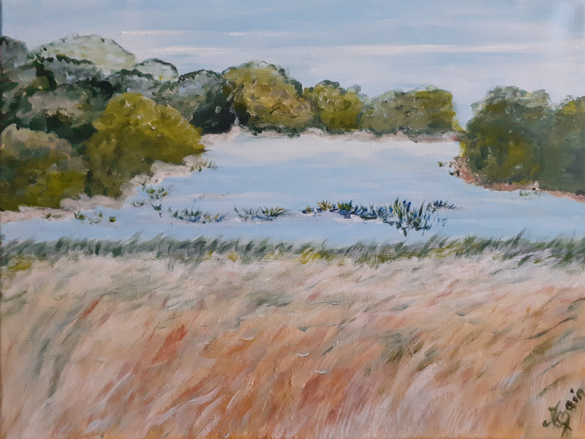 Au pays des 1000 étangs (la Brenne)