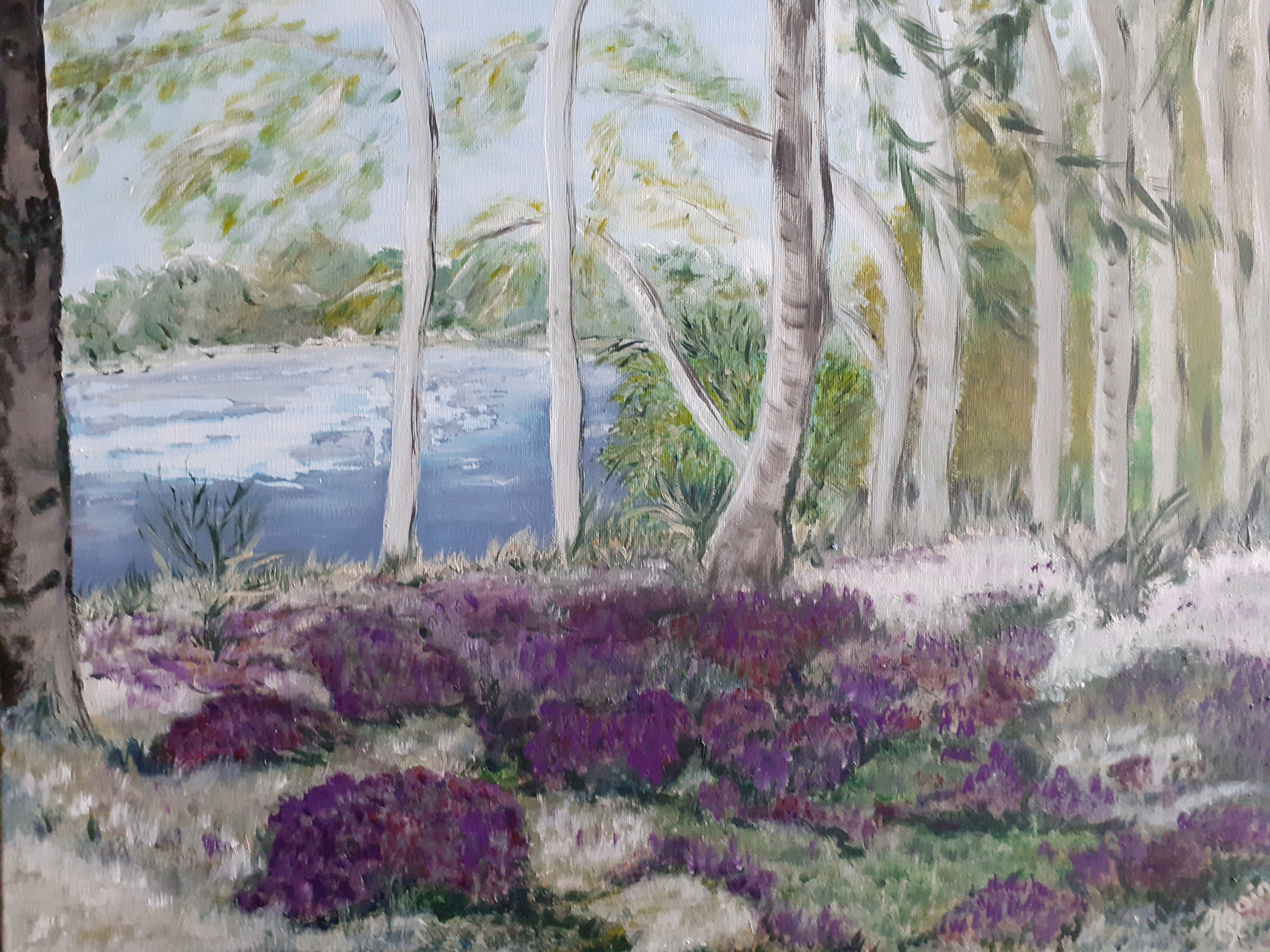 Étang de Belle Bouche - Brenne