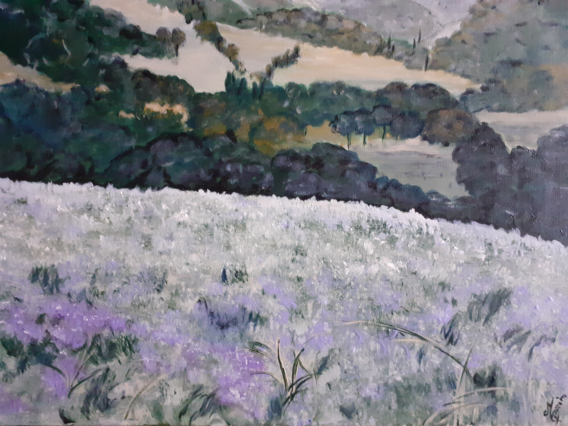 Début d'été dans le Tarn