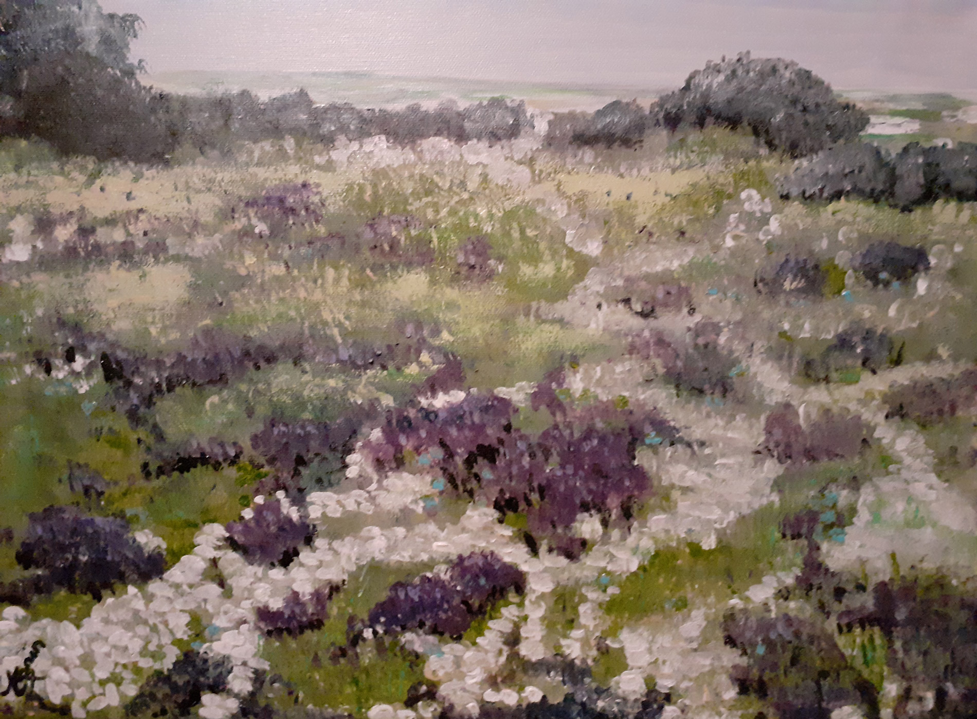 La Garrigue - Hérault