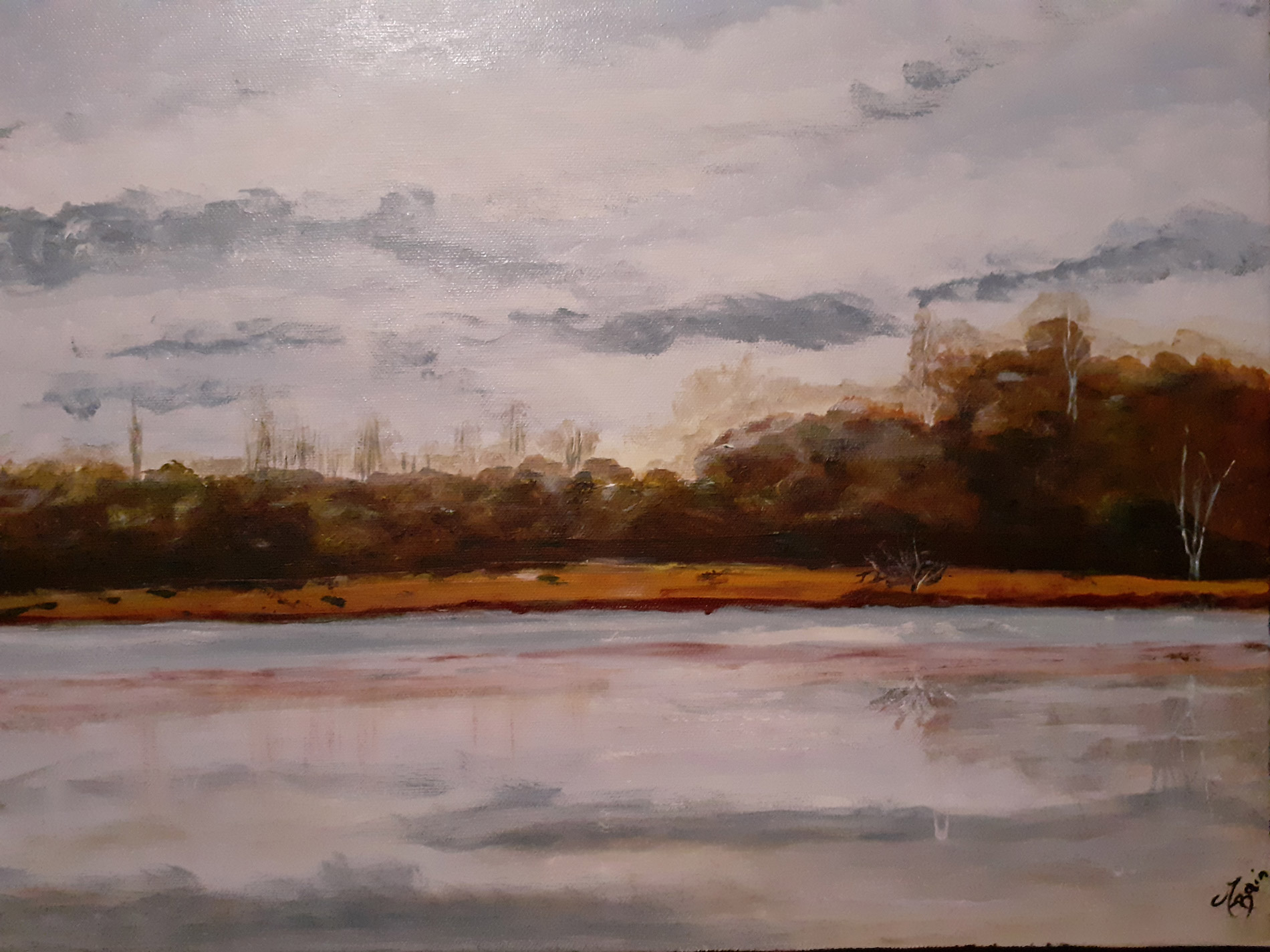 Le marais au butor - La Brenne