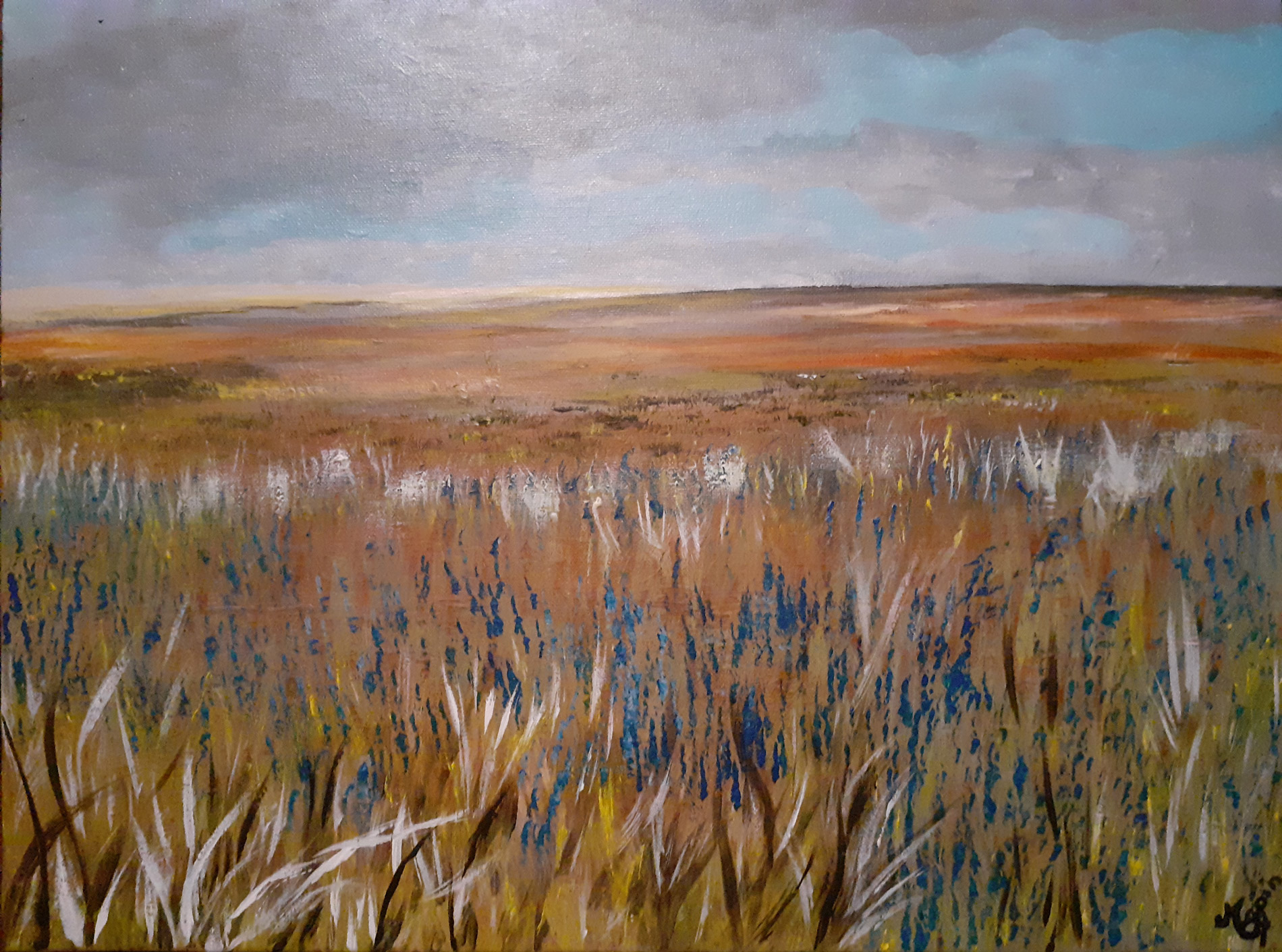 Paysage de l'Indre - Champs