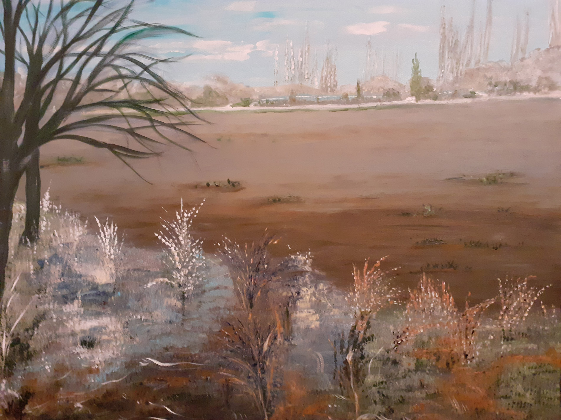 Paysage de l'Indre - Champs 2