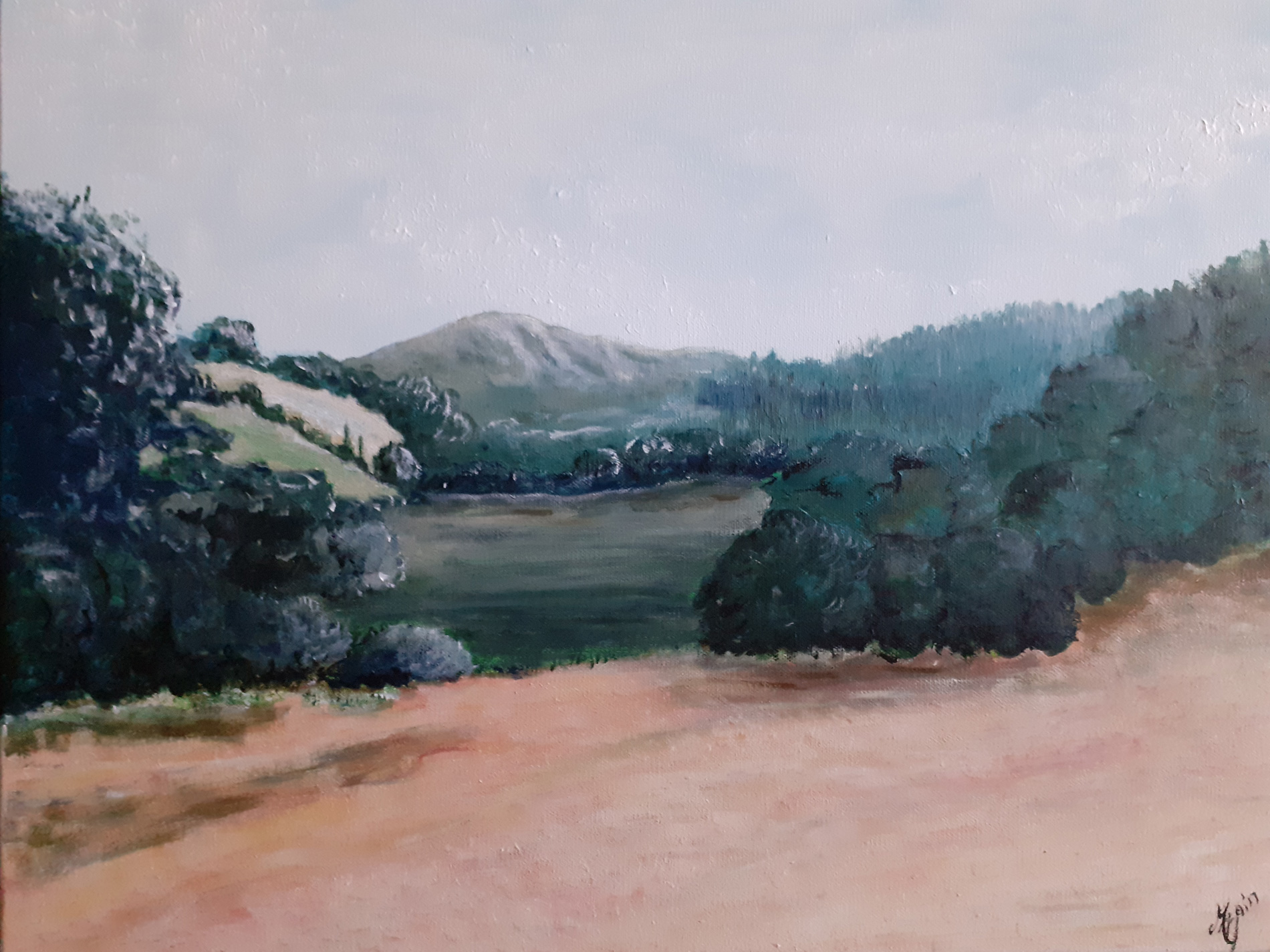 Paysage dans le Tarn 2