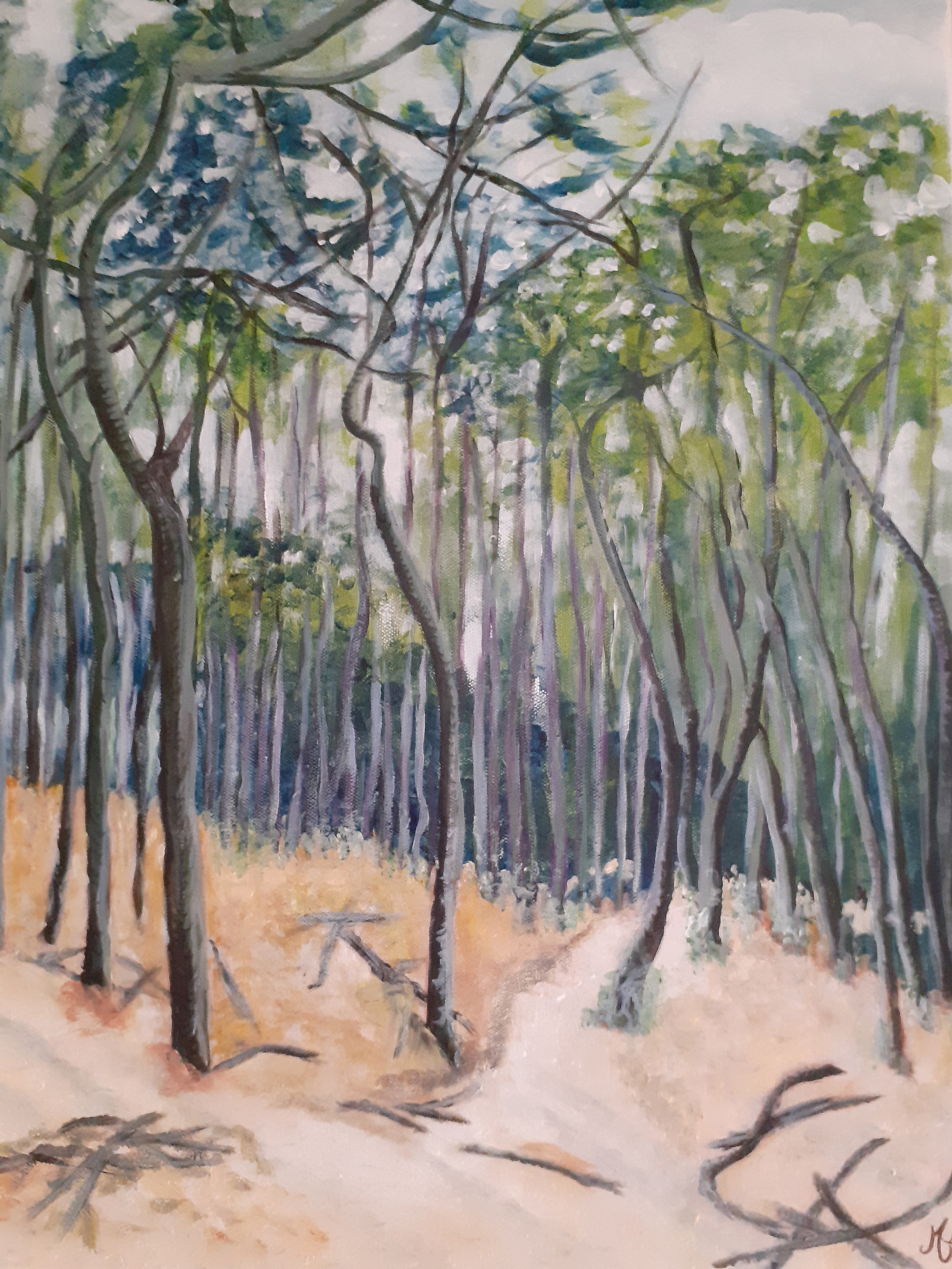 Promenade dans une forêt des Landes