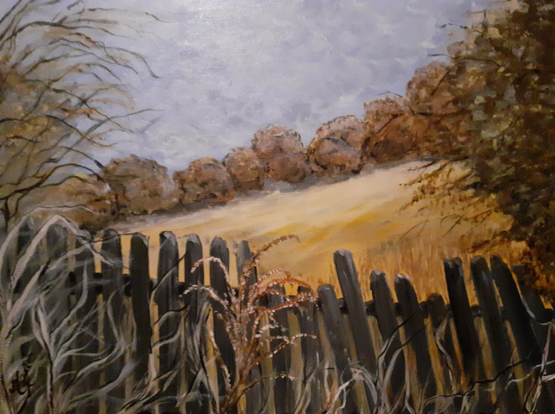 Le sentier des oiseaux