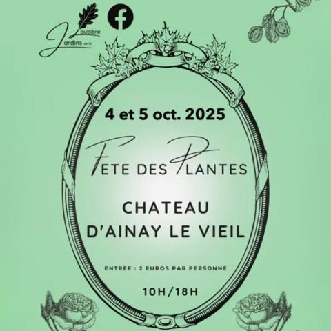 Fêtes des plantes dans le château d'Ainy le Vieil